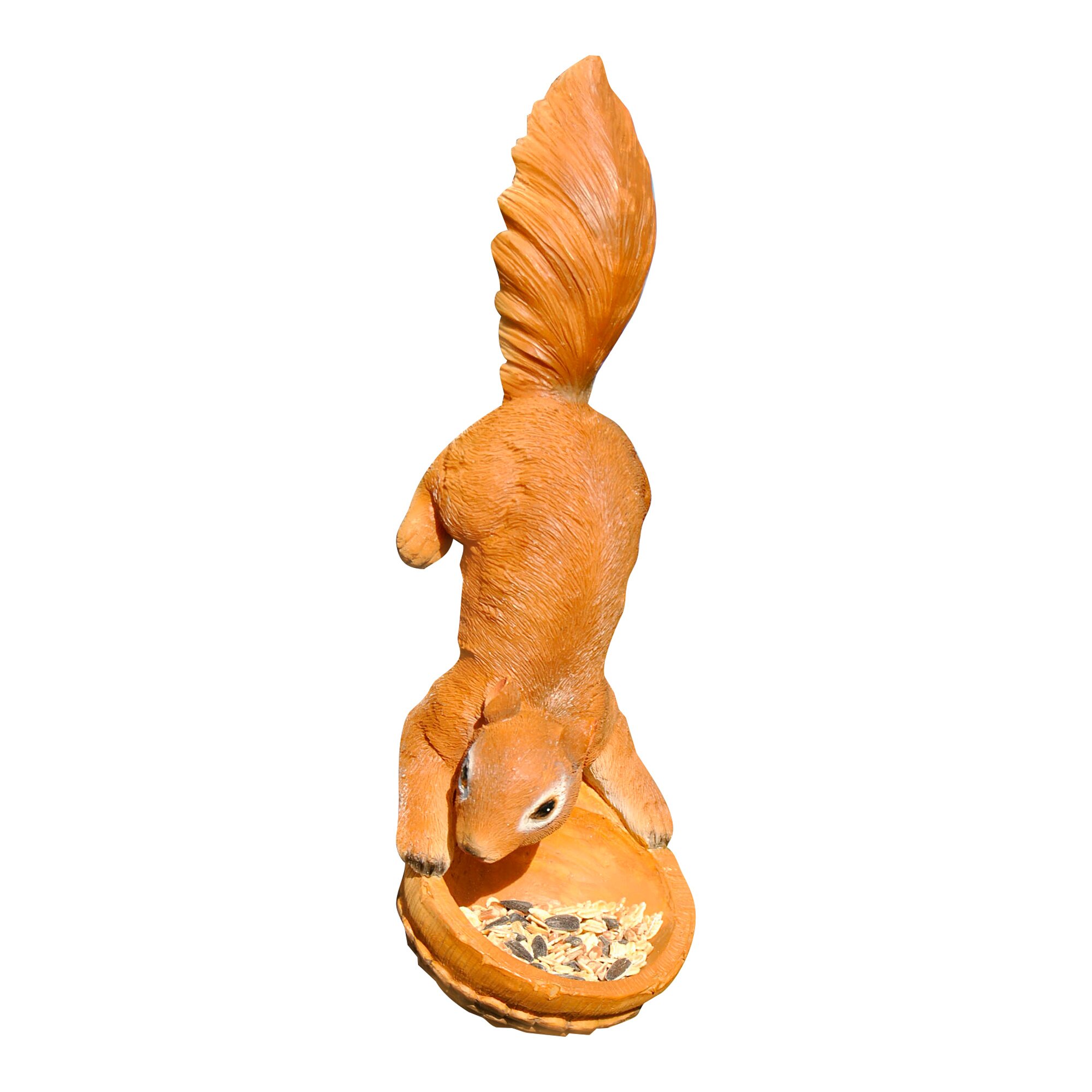Eichhörnchen mit Futterschale