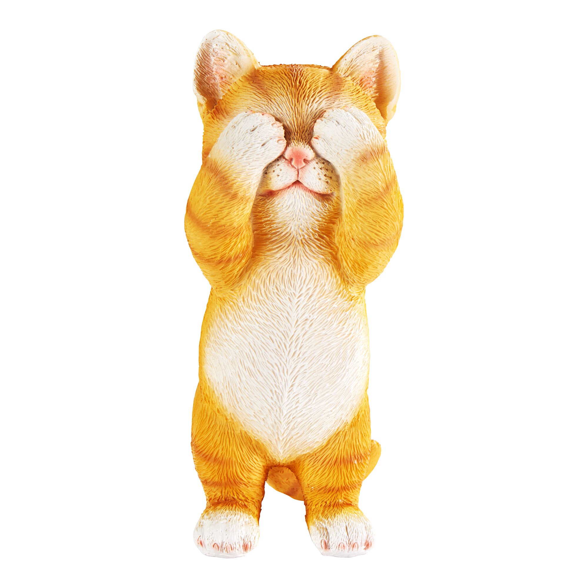 Chatons décoratifs