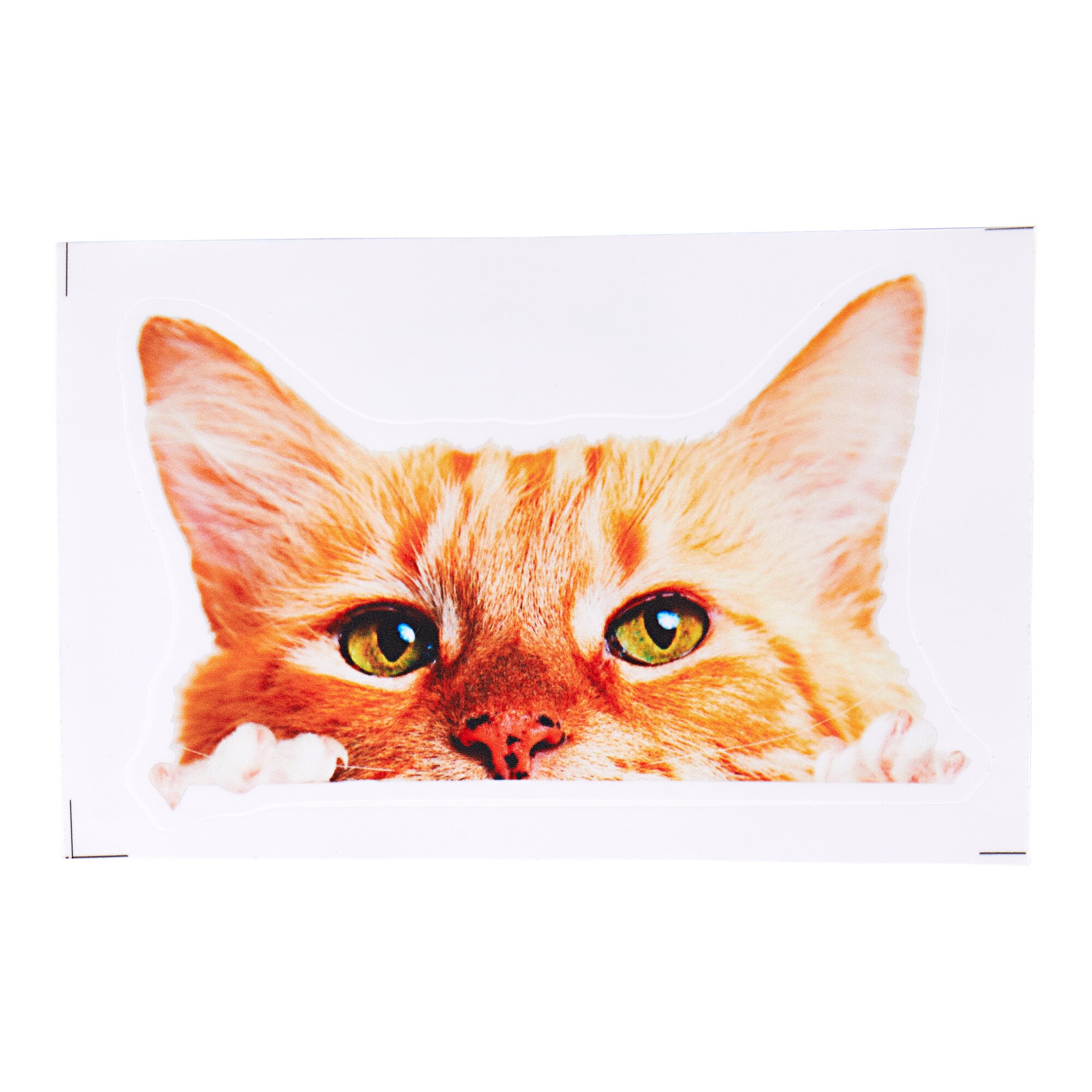 Autocollant pour prise murale