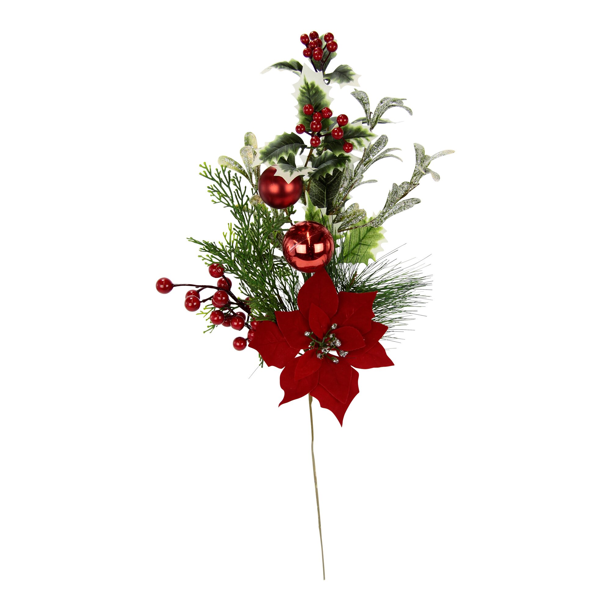 Mixed-Zweig Poinsettia