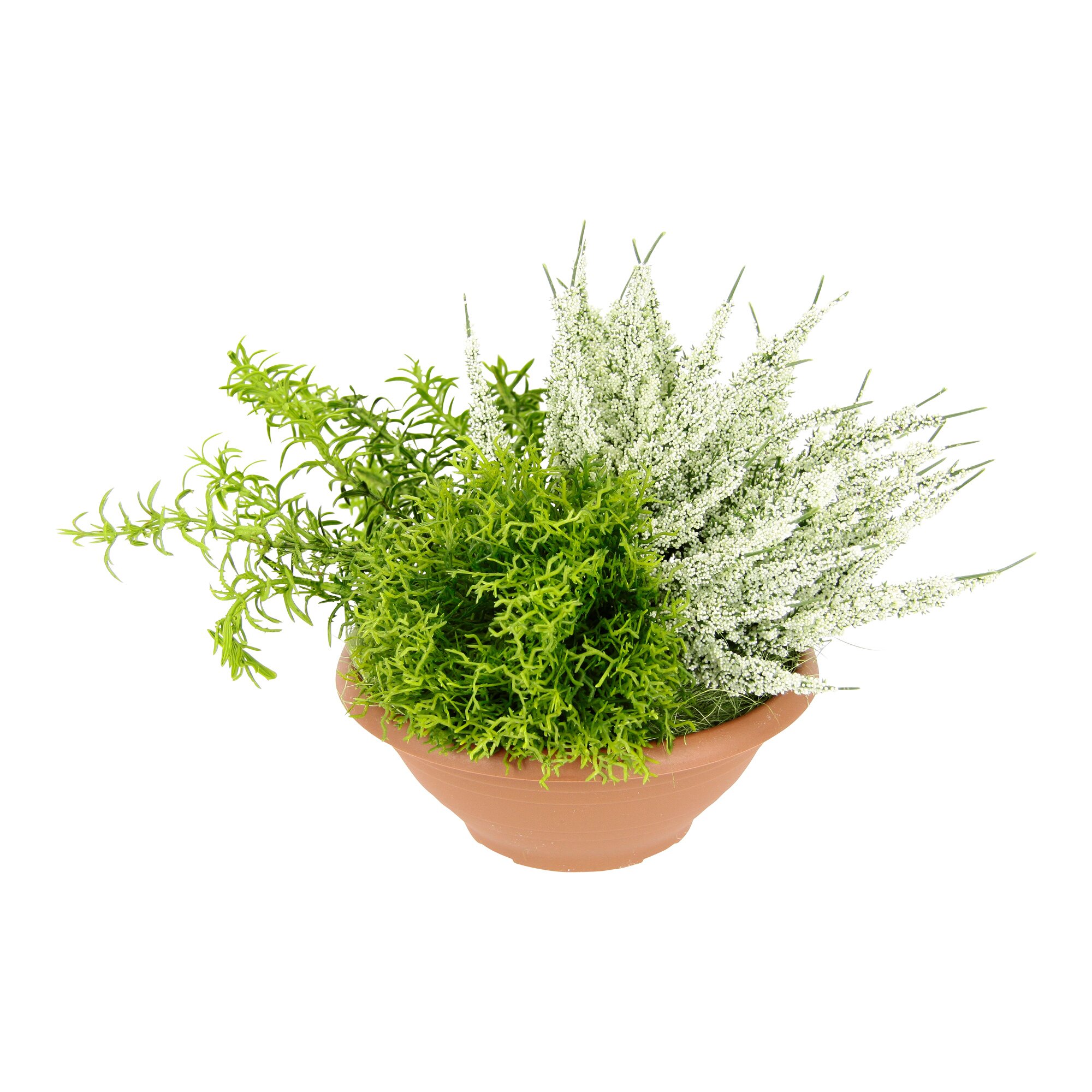 Arrangement Erikabusch in Kunststoffschale, weiß