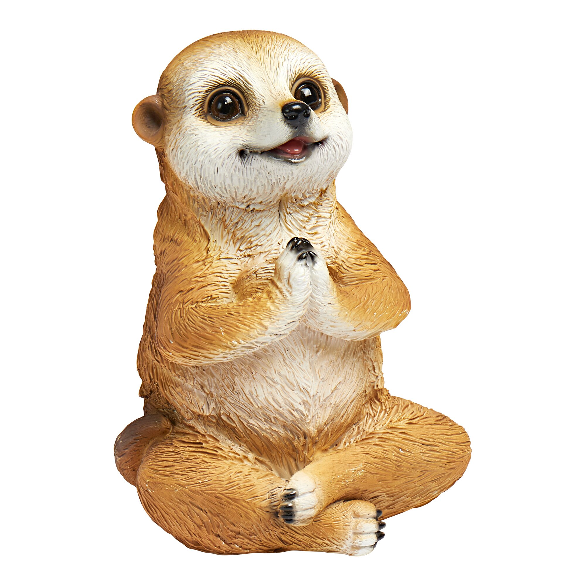 Suricates zen
