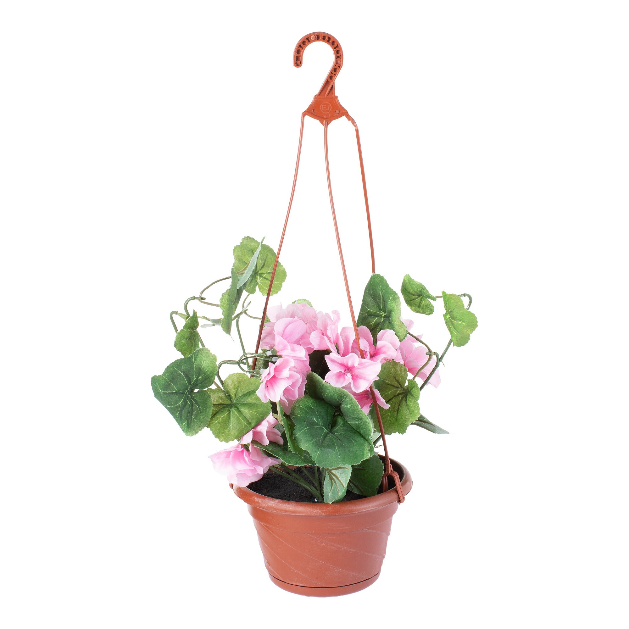 Hängetopf Geranien, rosa