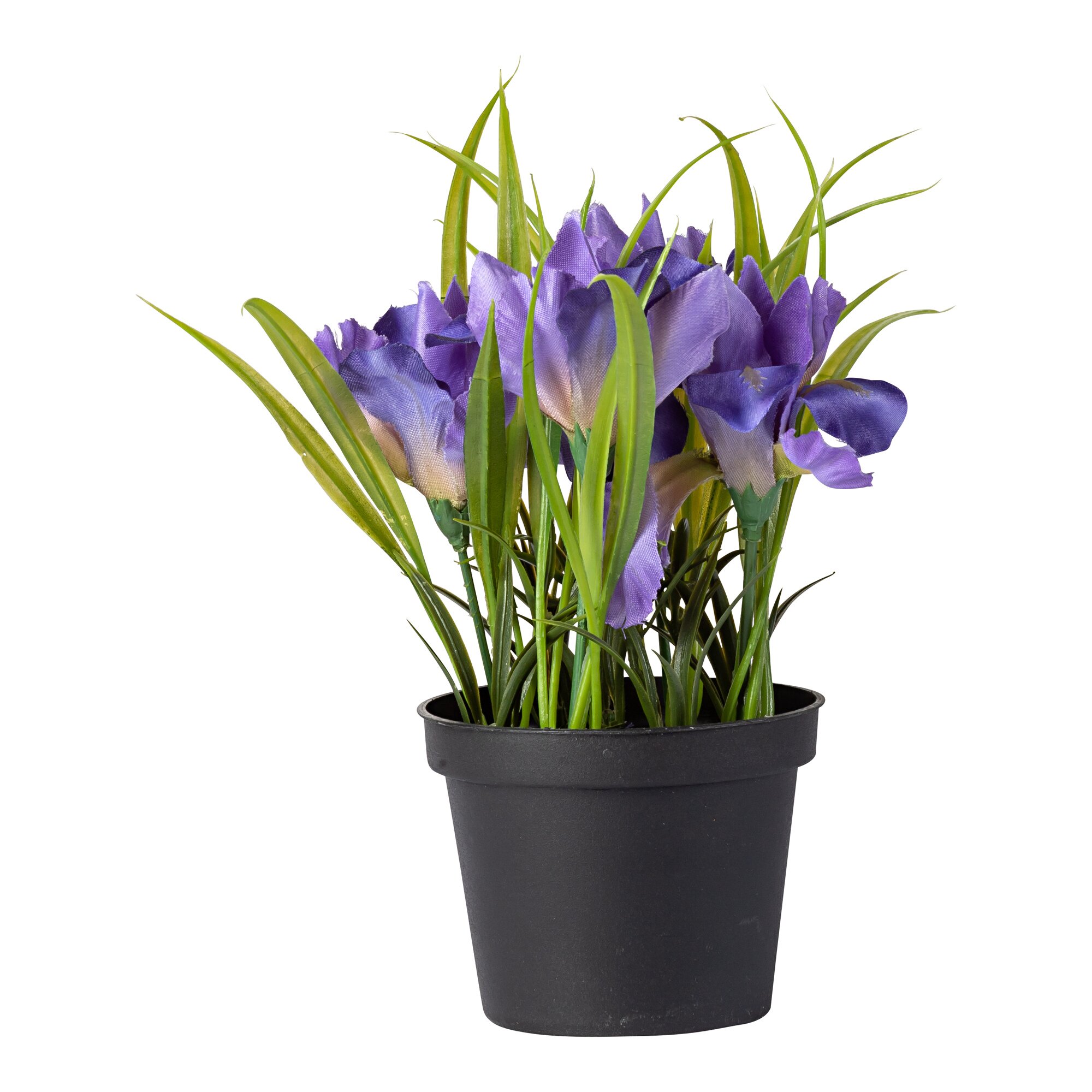 Blumentopf Iris, blau
