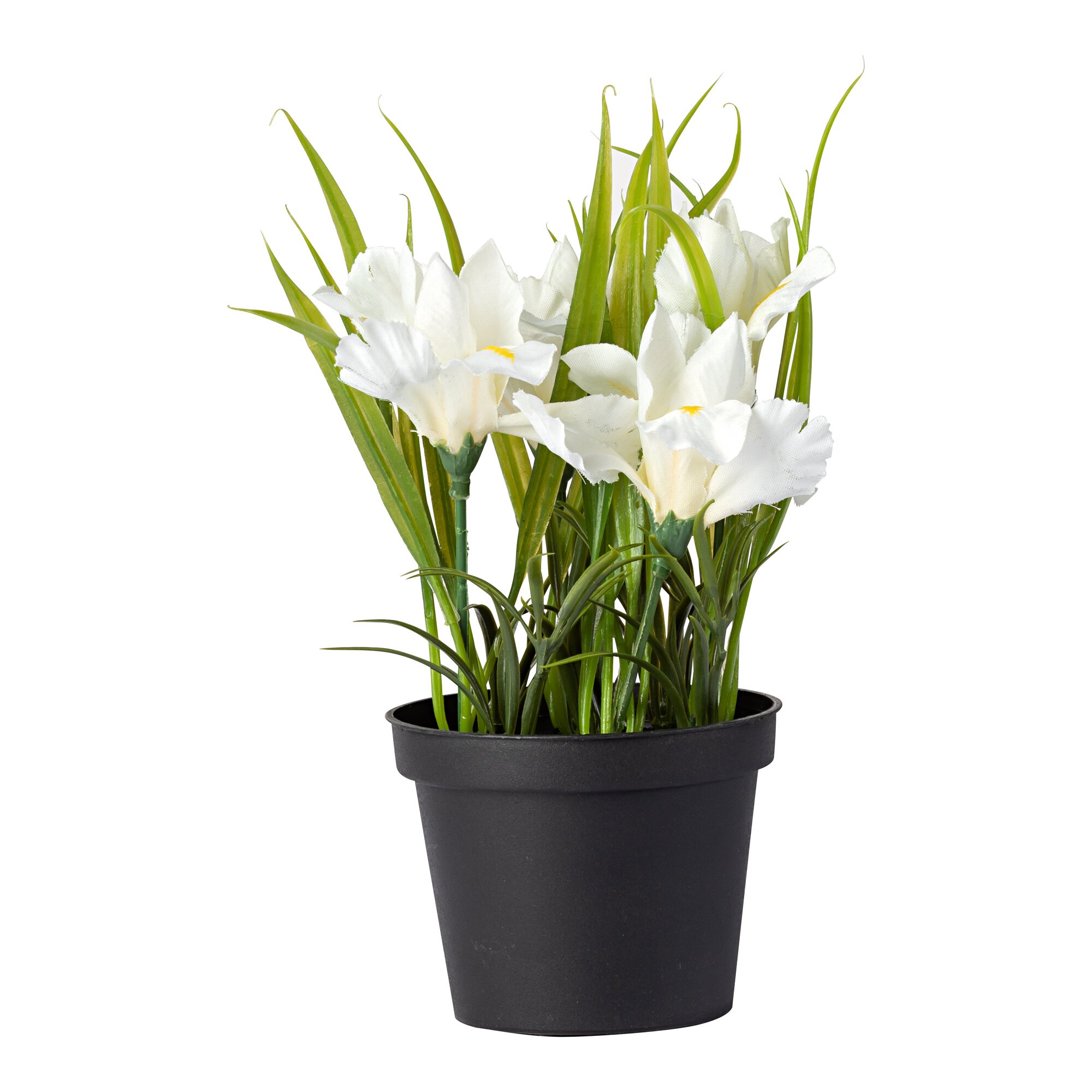 Blumentopf Iris, weiß