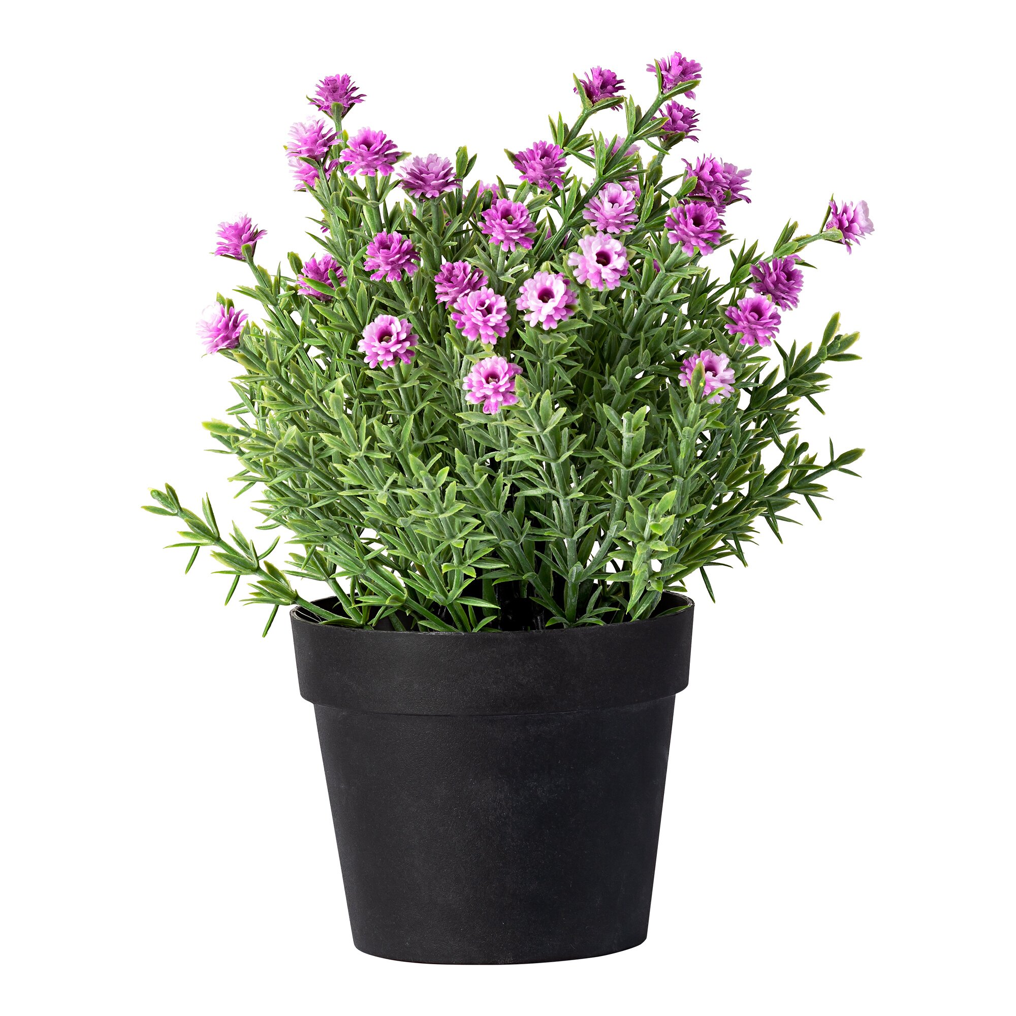 Fleur déco