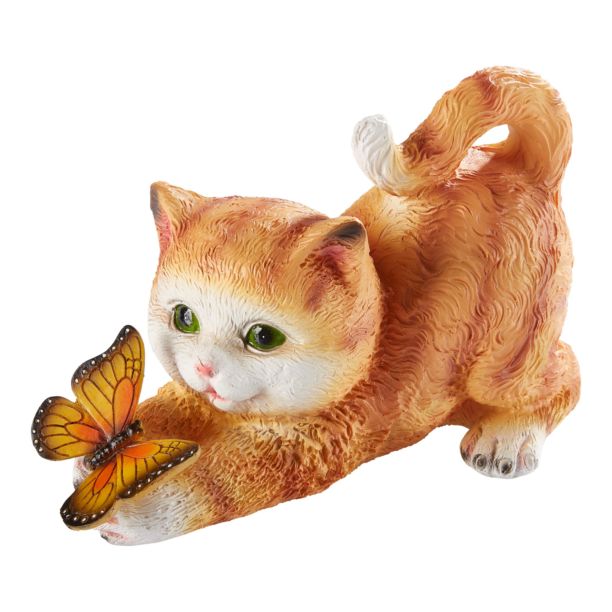 Solar-Kätzchen Schmetterling