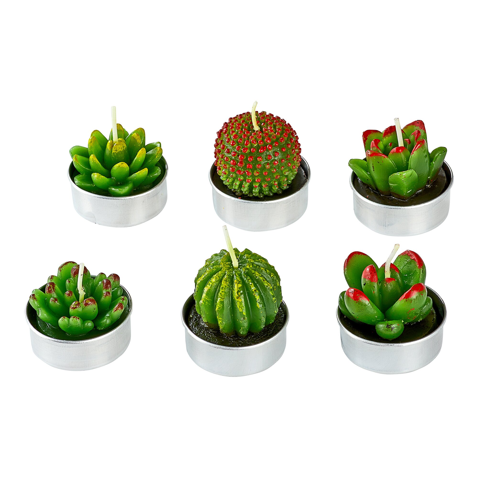 Teelichter-Set Kakteen, 6 Stück