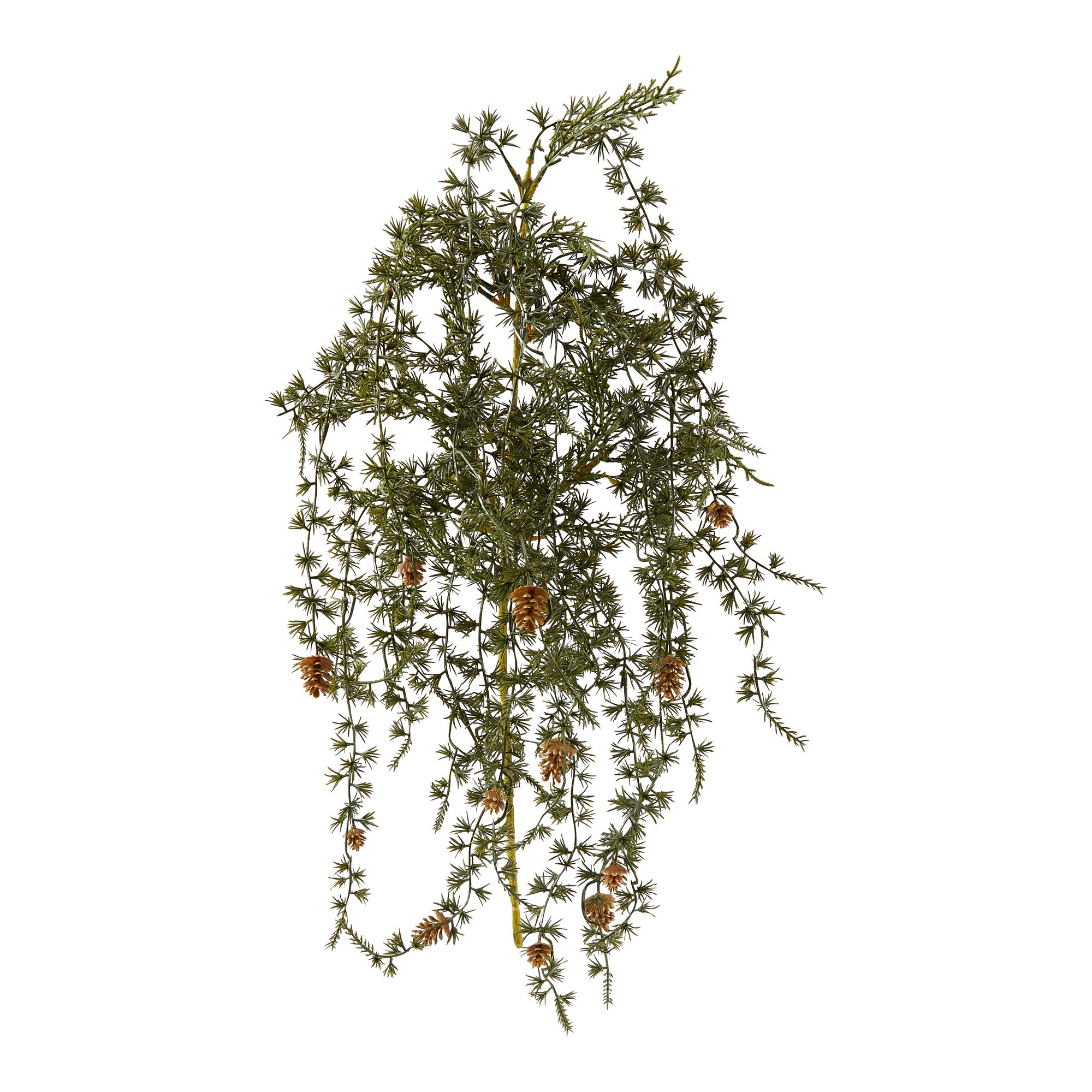 Branche de sapin suspendue
