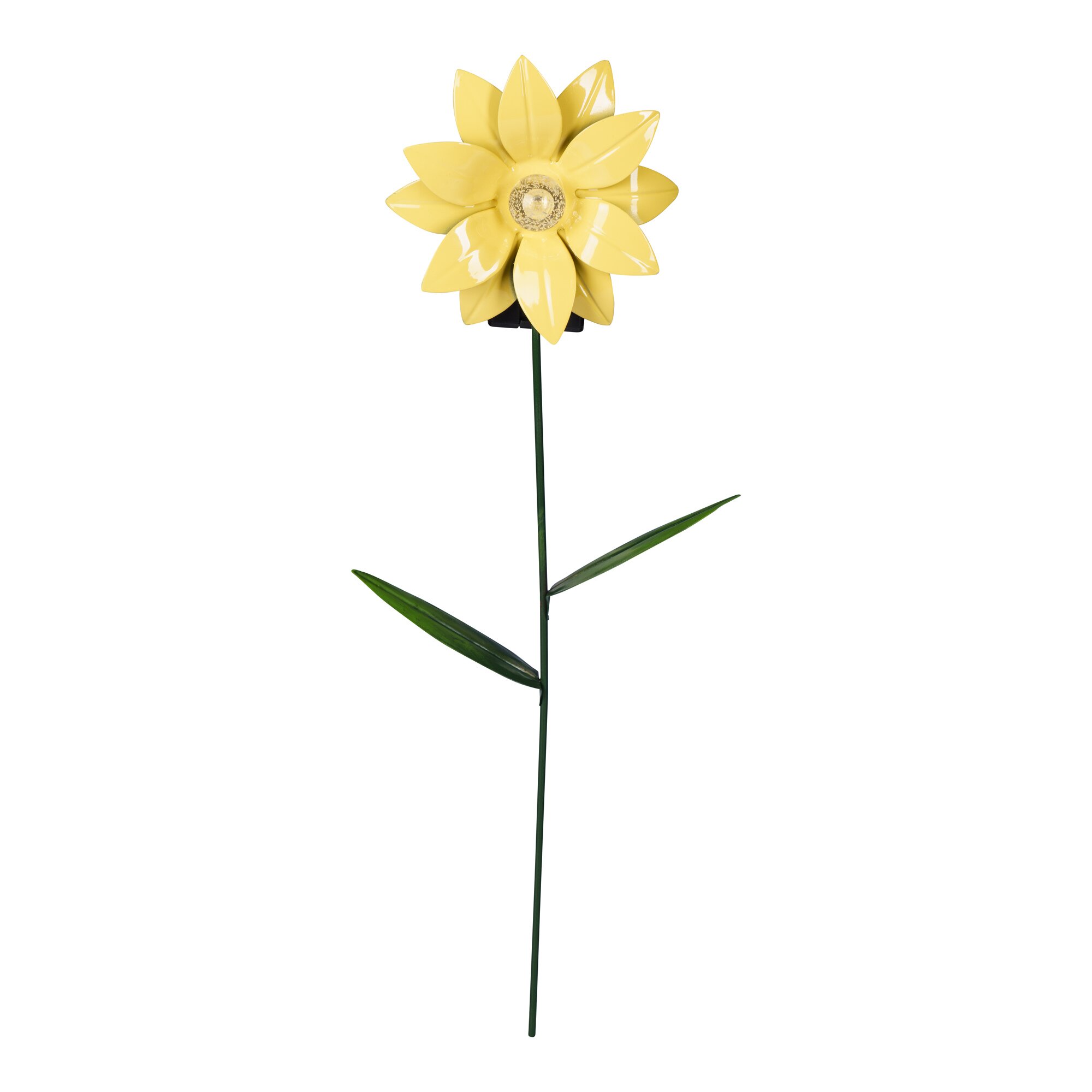Fleur solaire à planter