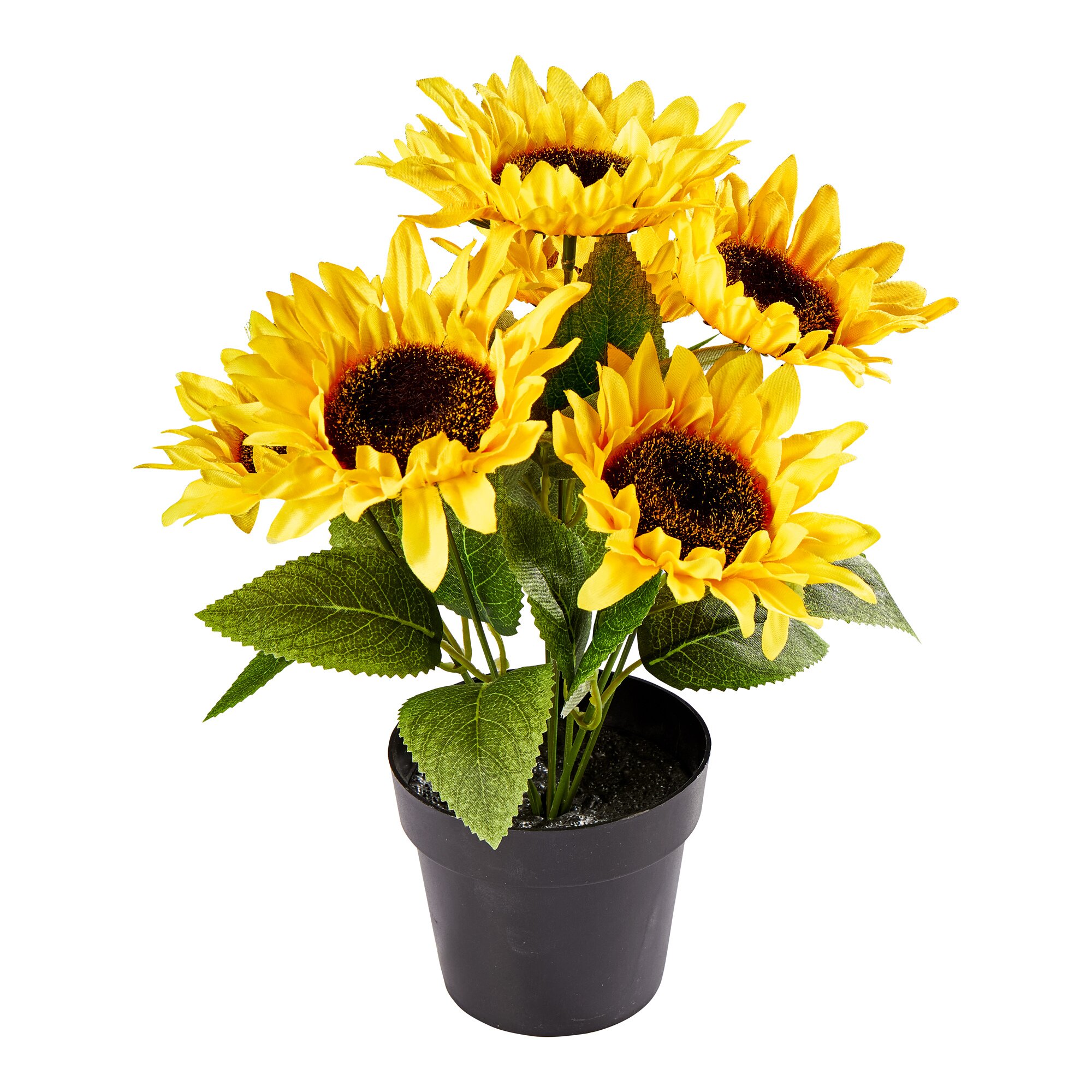 ﻿Composition florale ­«Tournesols»