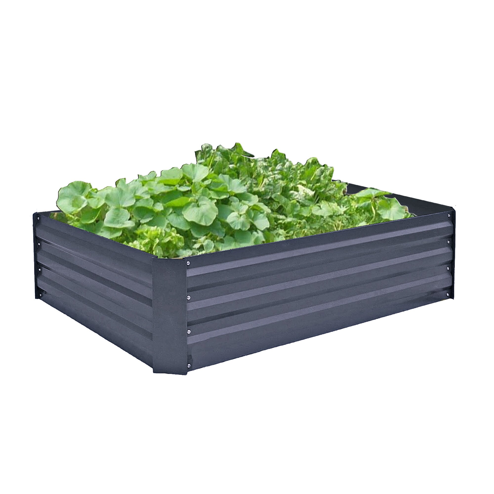 Bordure pour potager surélevé «métal»