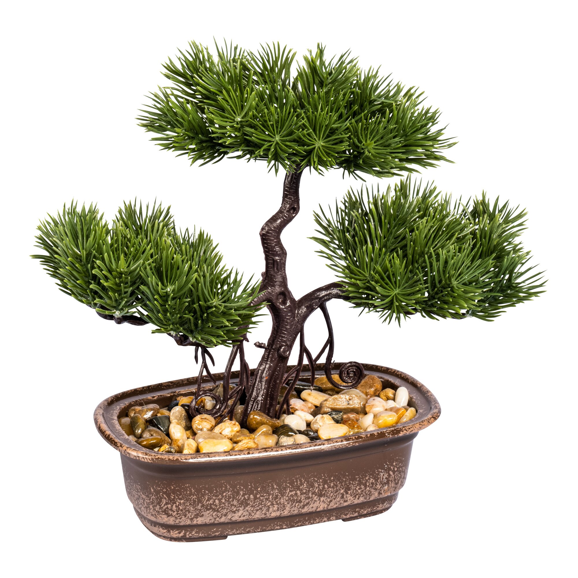 Bonsaï «Nature»