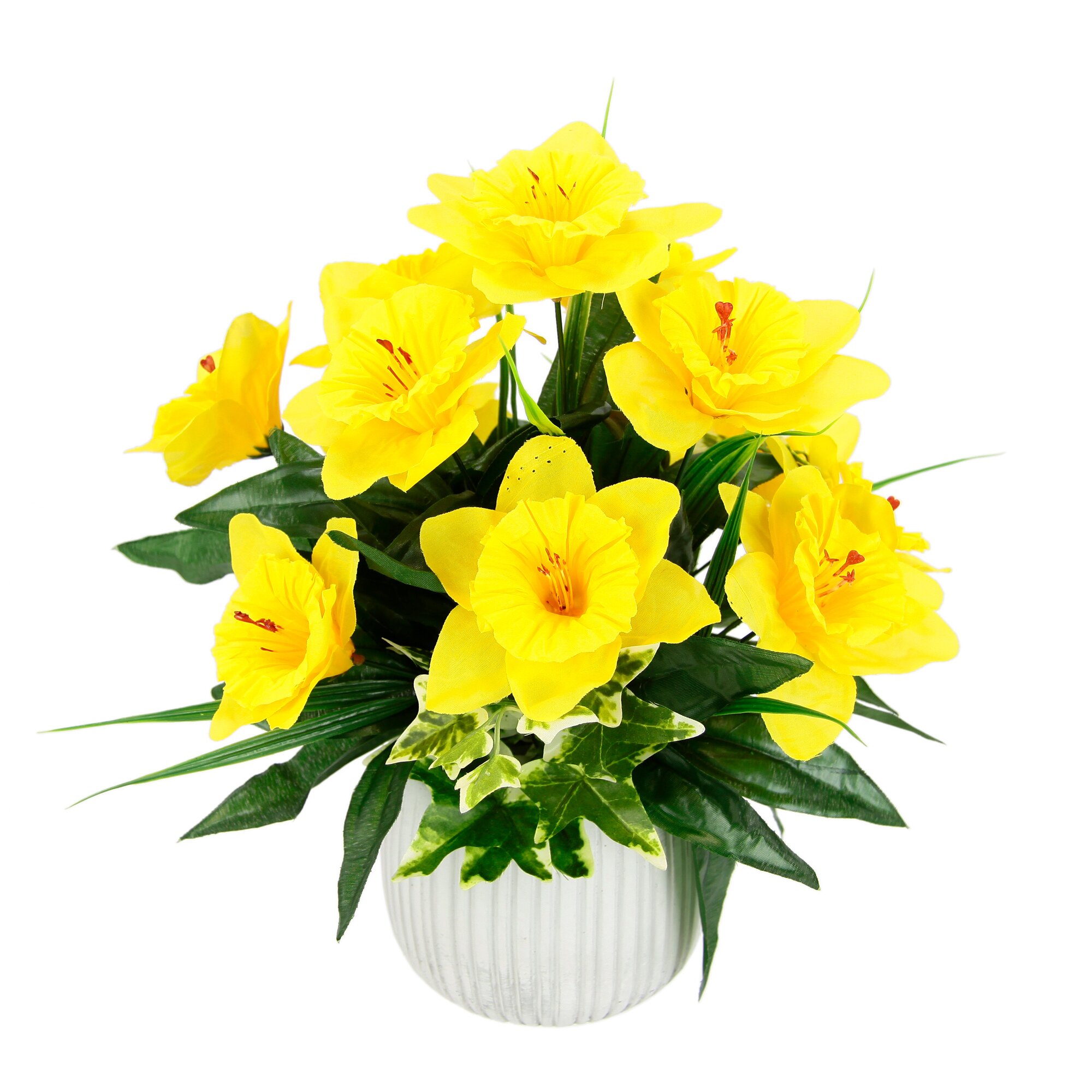 Narcisses en pot