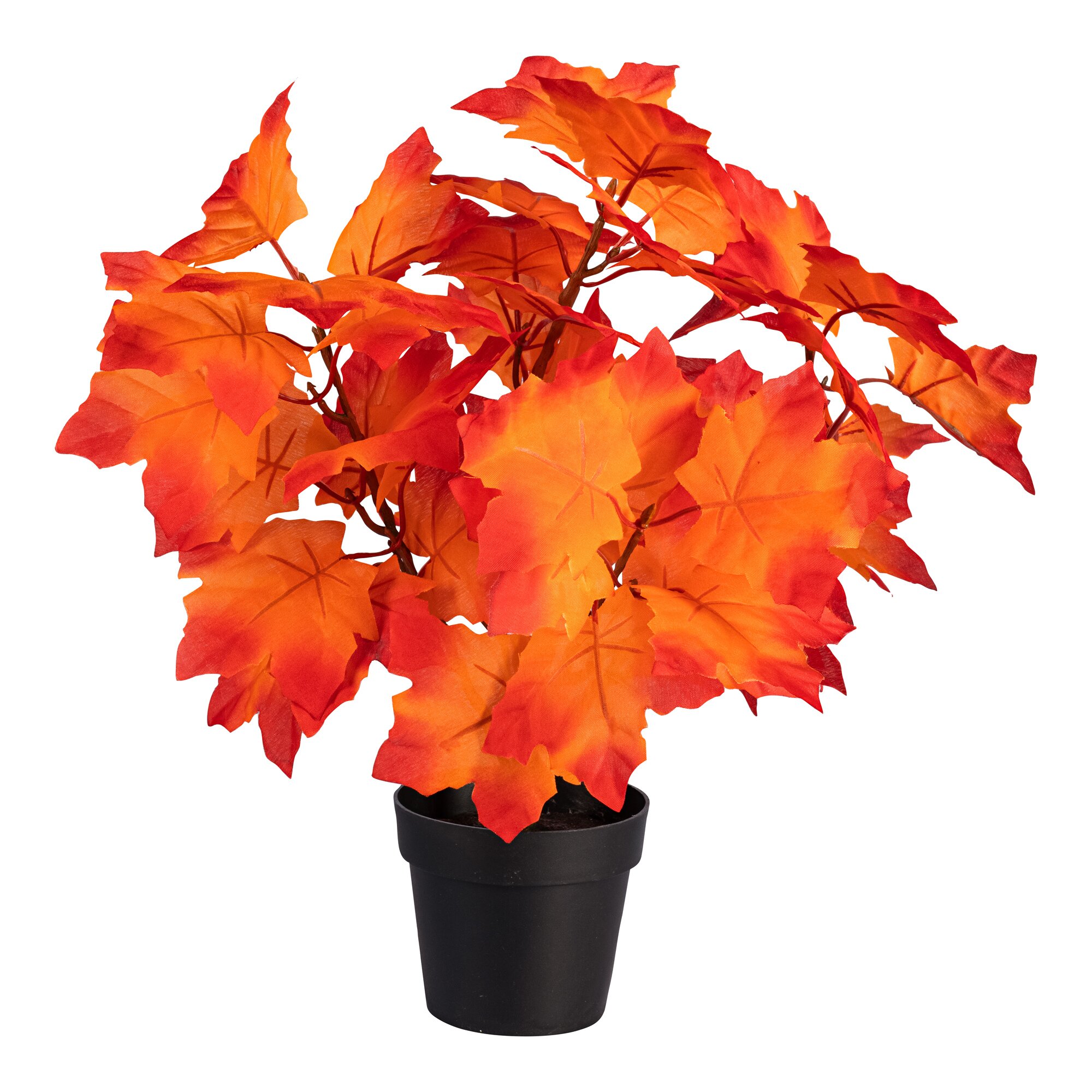 Deko-Ahornbäumchen, orange