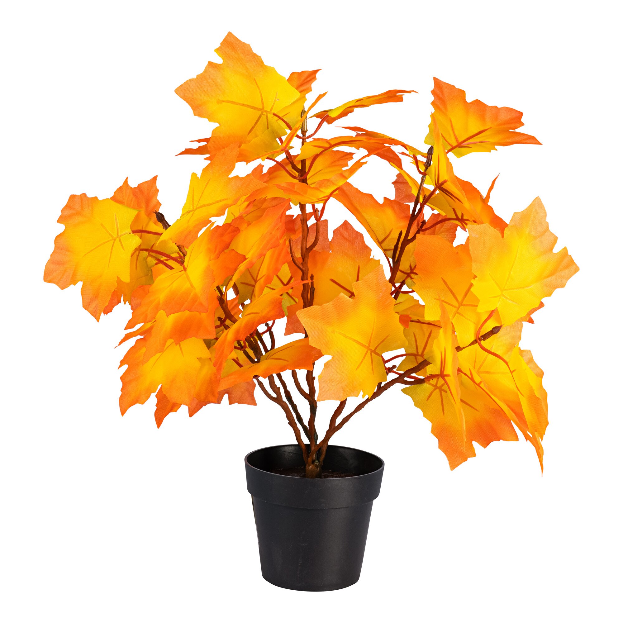 Feuilles d’automne