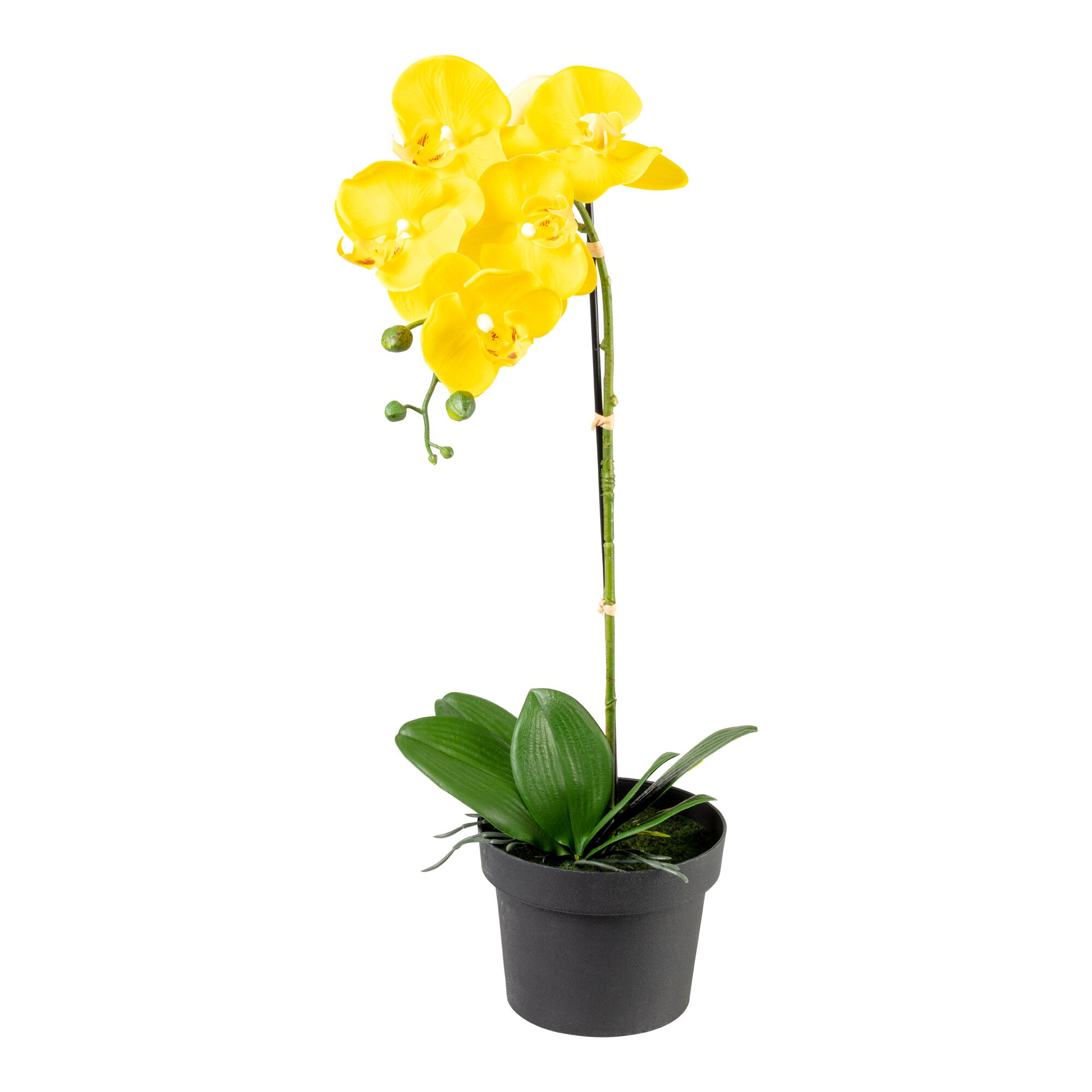 Plante artificielle «Orchidée XXL»