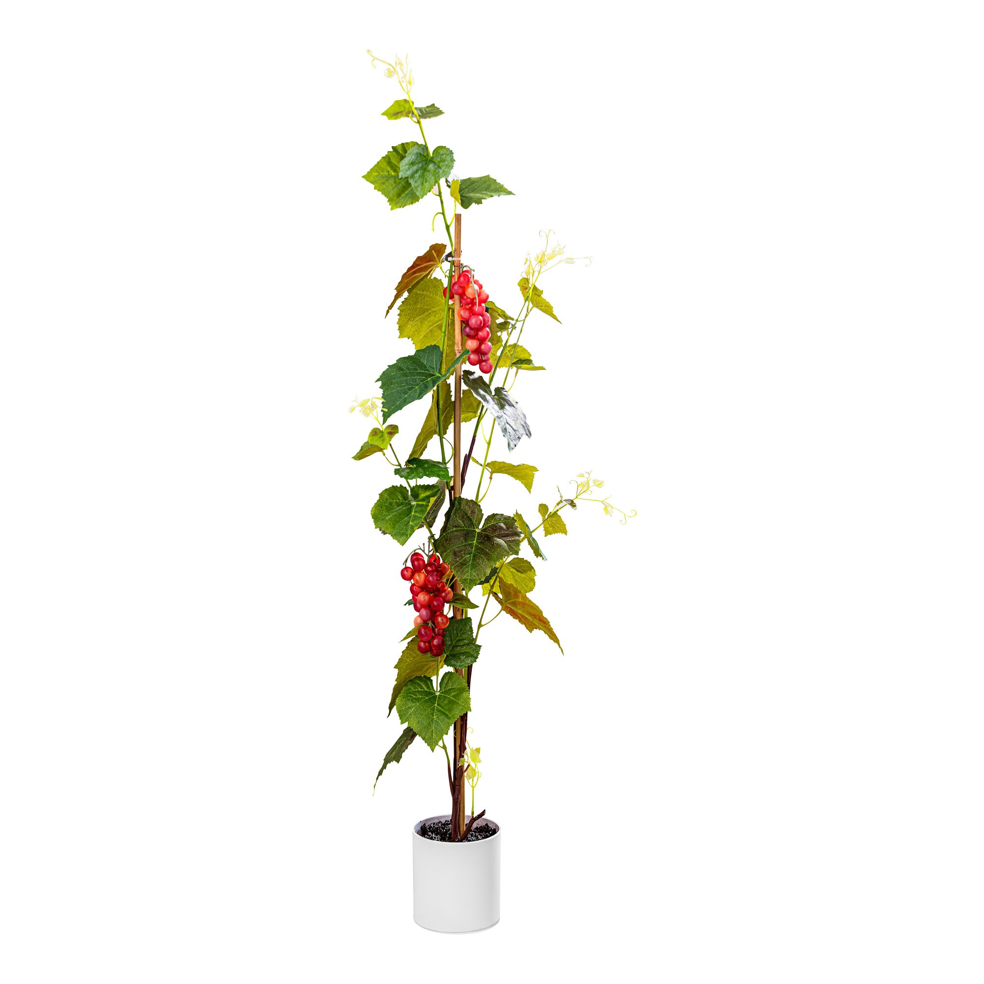 Pied de vigne artificiel