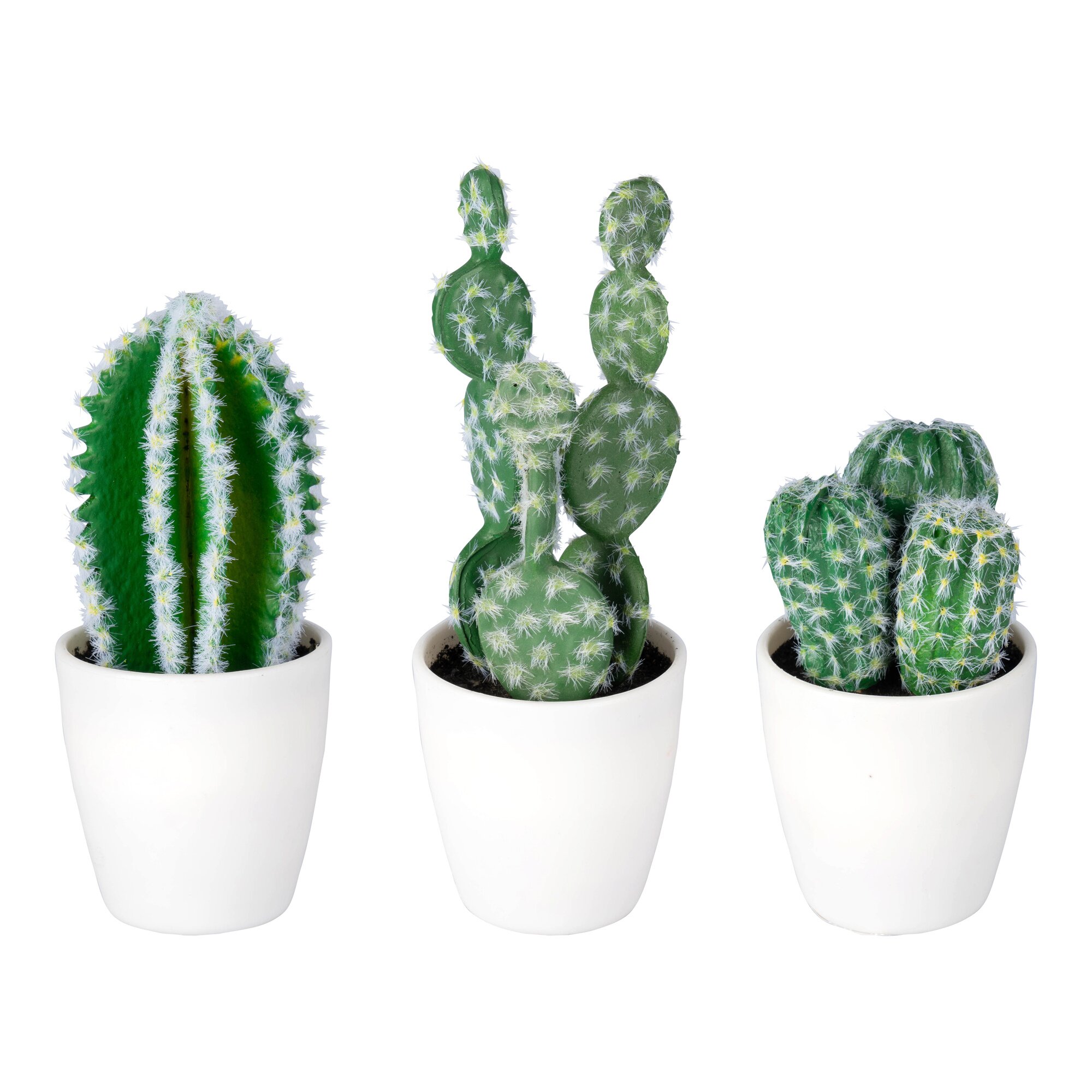 Set de cactus Mini
