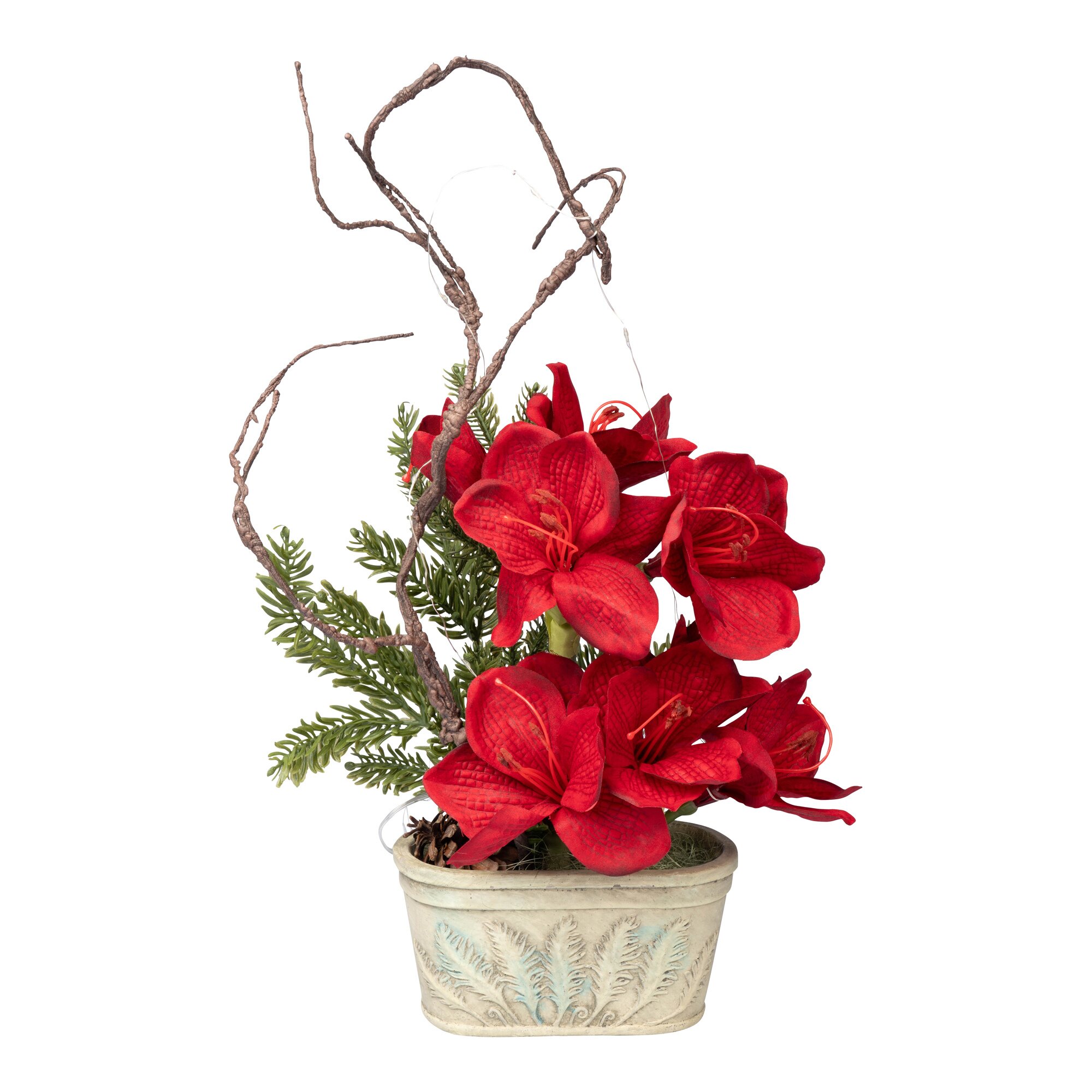 Composition «Amaryllis»