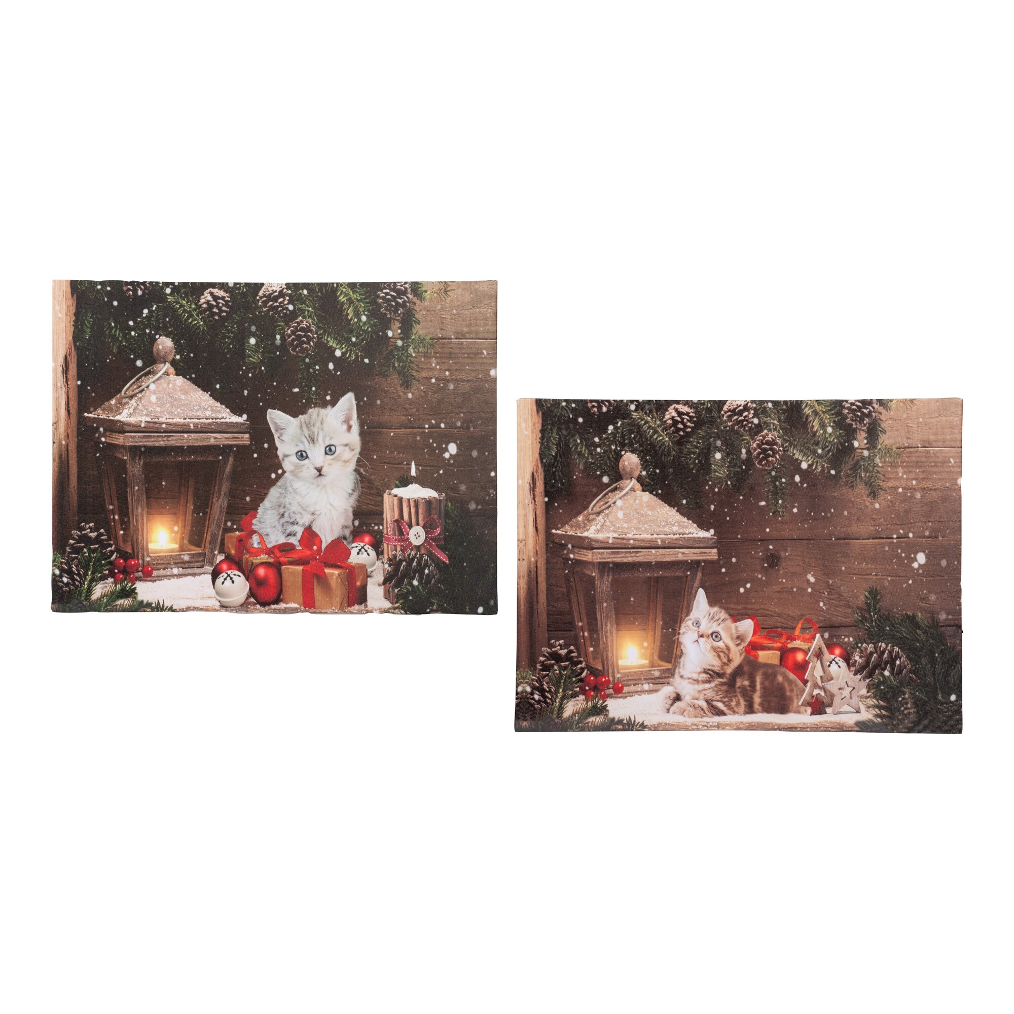 Set LED Bild "Katze und Kater"