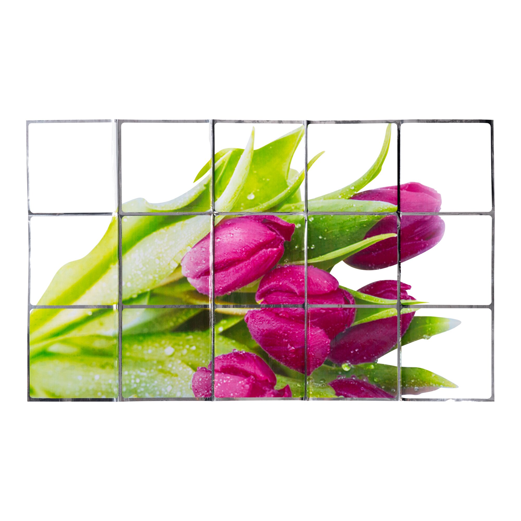 Image of Spritzschutz-Folie „Tulpen“