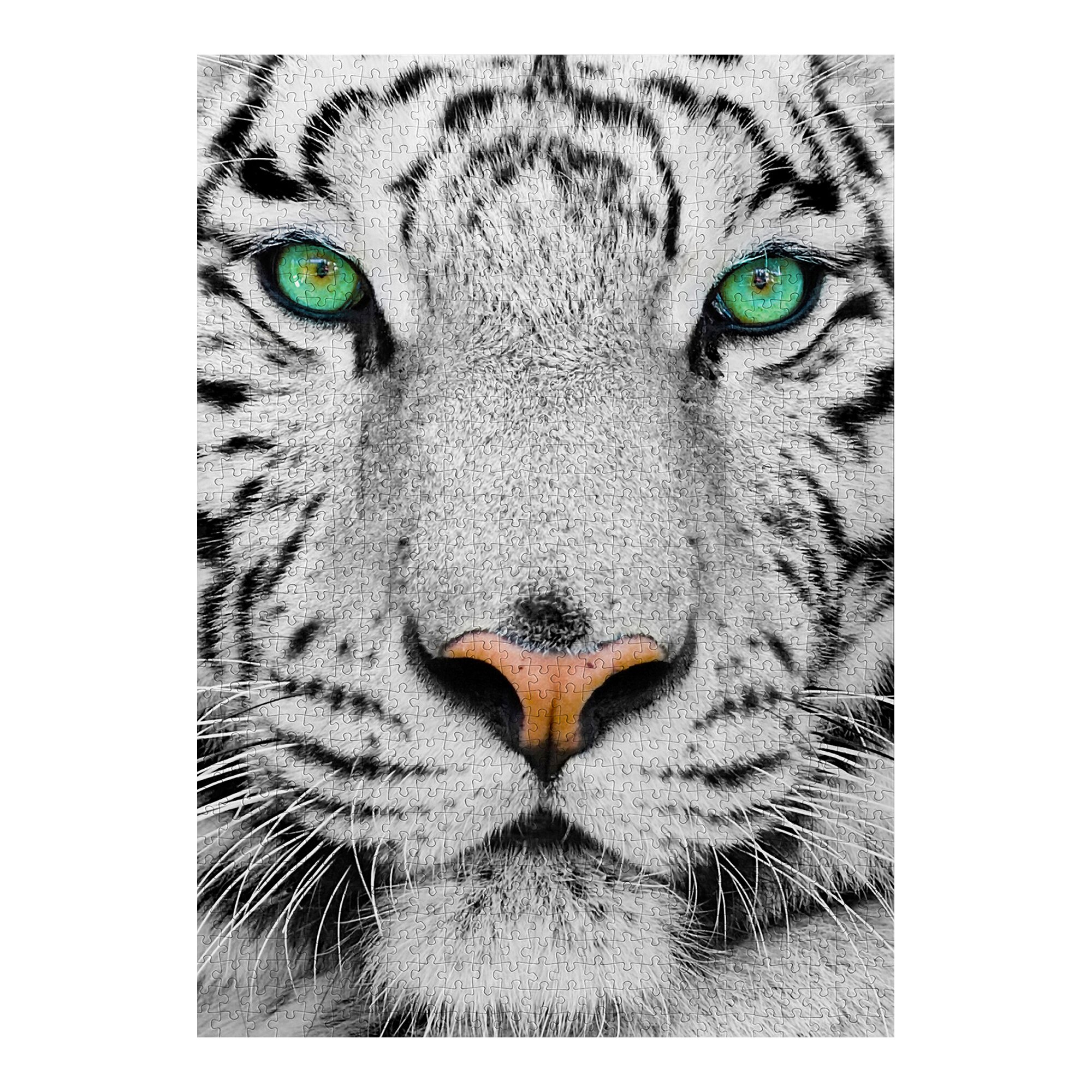 Puzzle White Sibirien Tiger, 1000 pièces