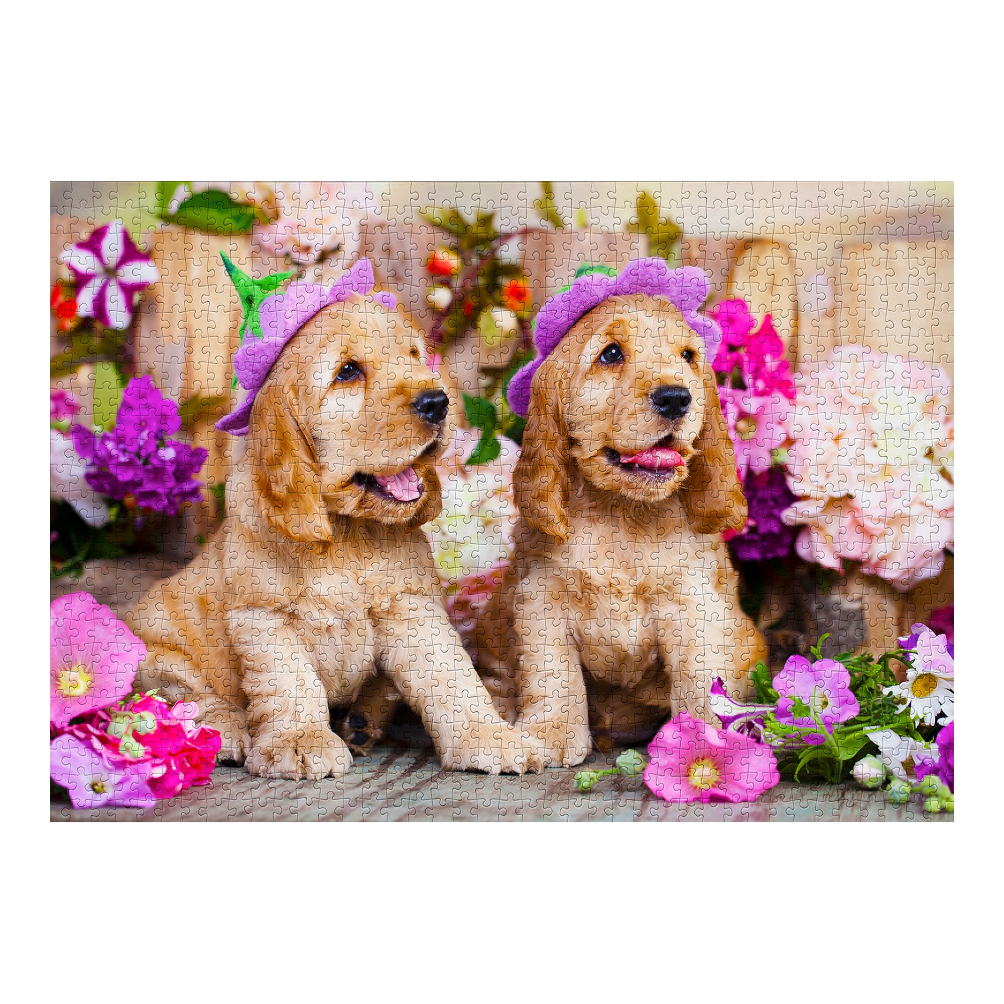 Puzzle Spaniel Puppies with Flower Hats 1000 pièces