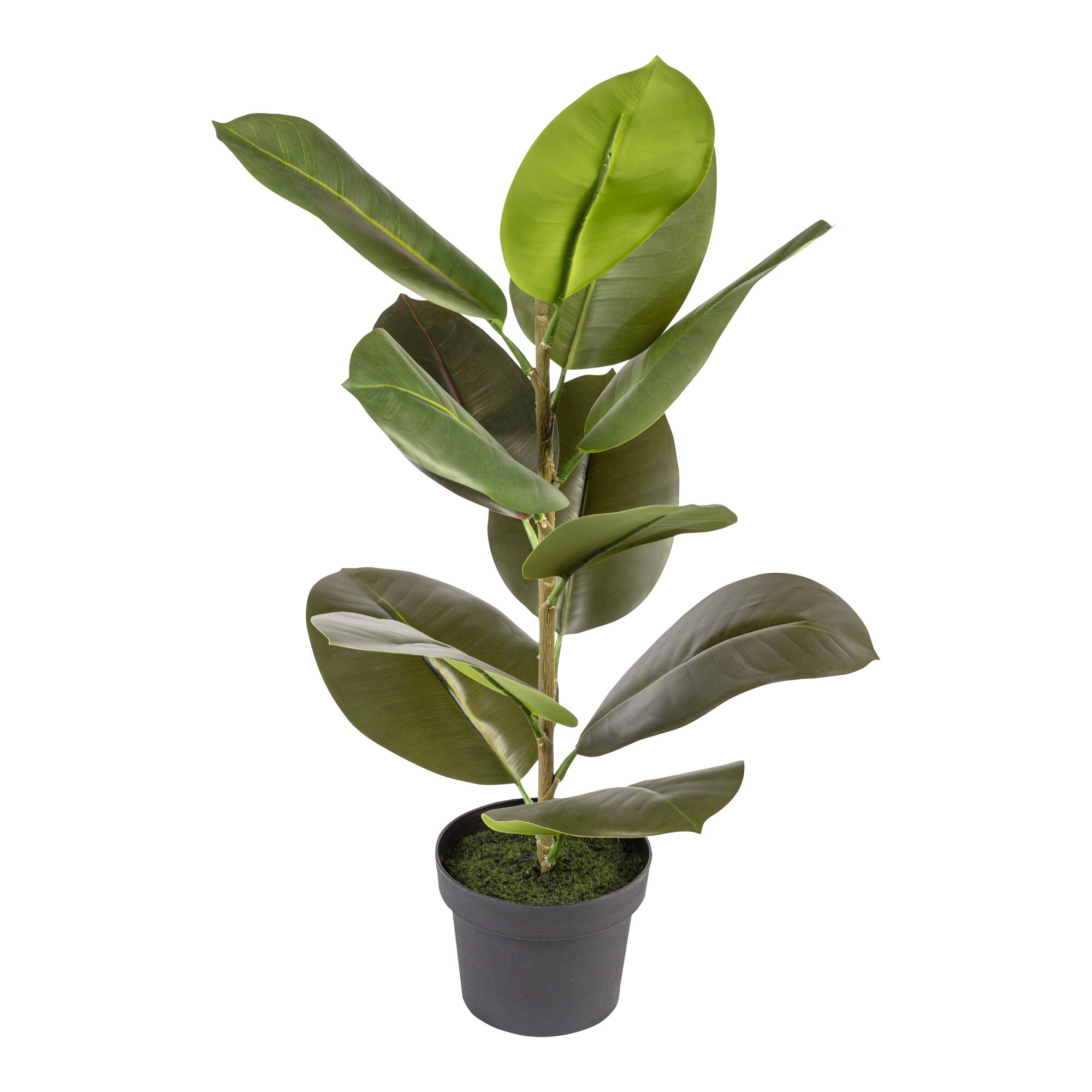 Kunstpflanze „Gummibaum“