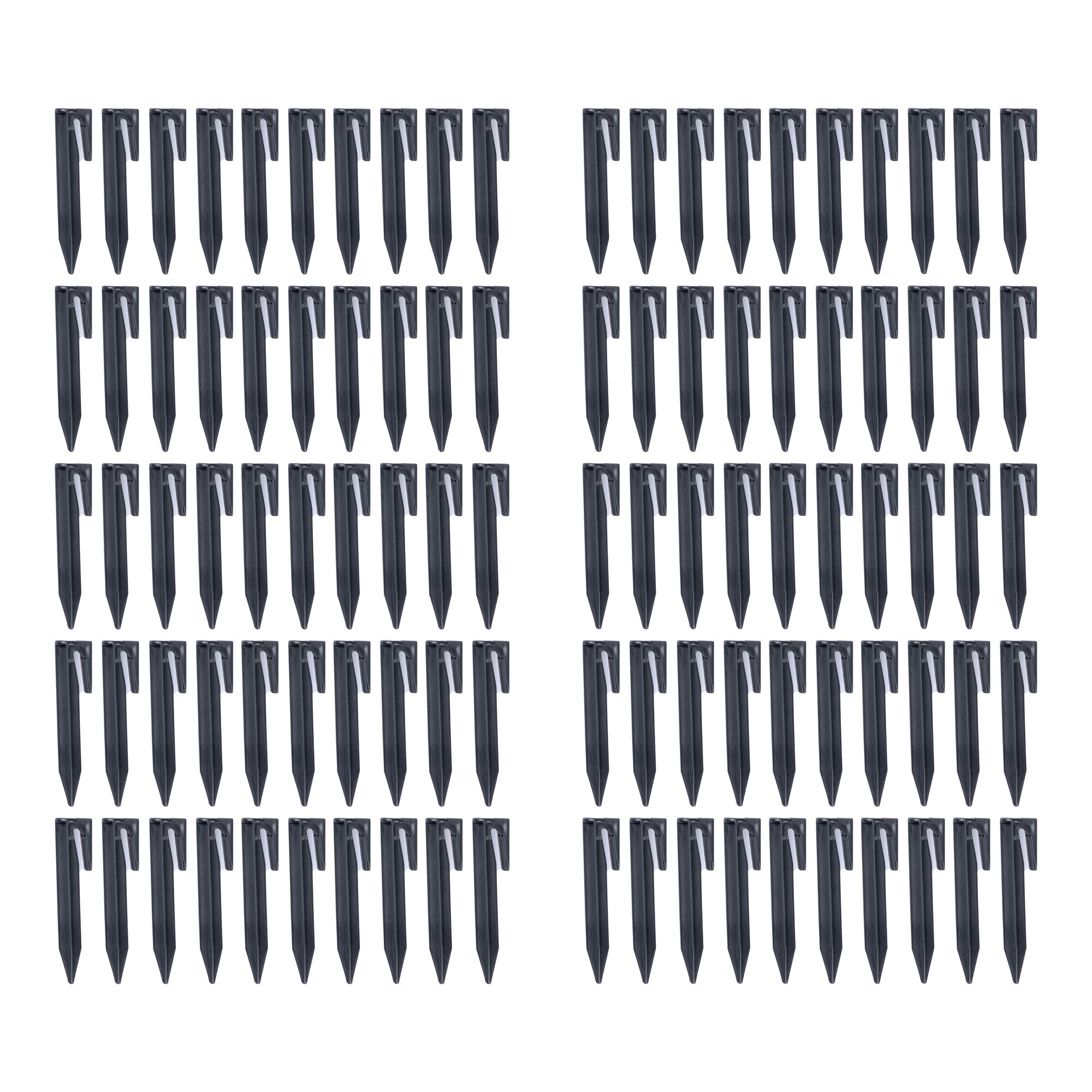 Erdnägel, 100 Stück