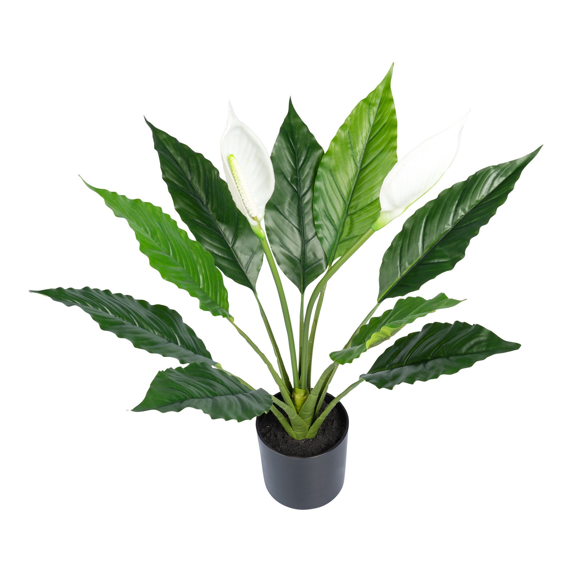 Kunstpflanze „Scheidenblatt“