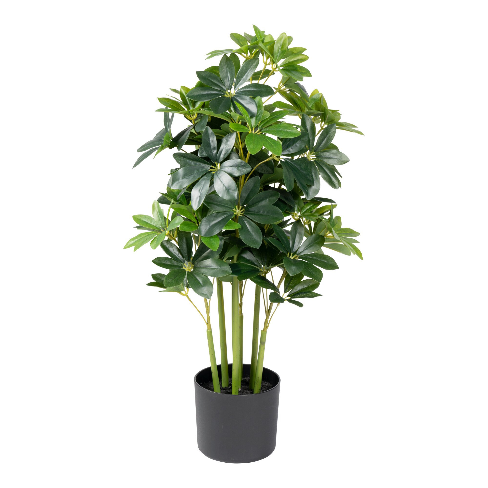 Kunstblume „Strahlenaralie“