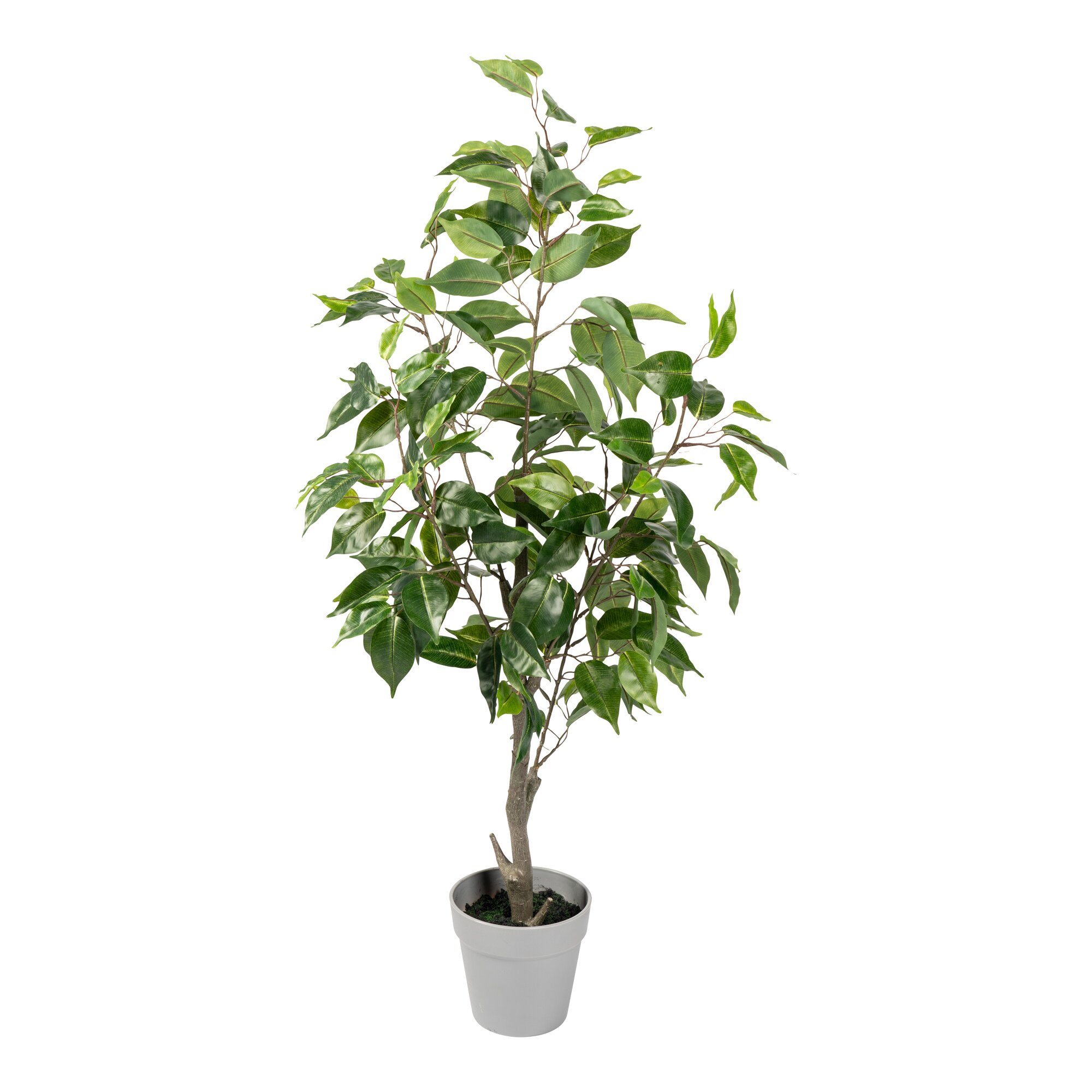 Kunstbaum „Birkenfeige“