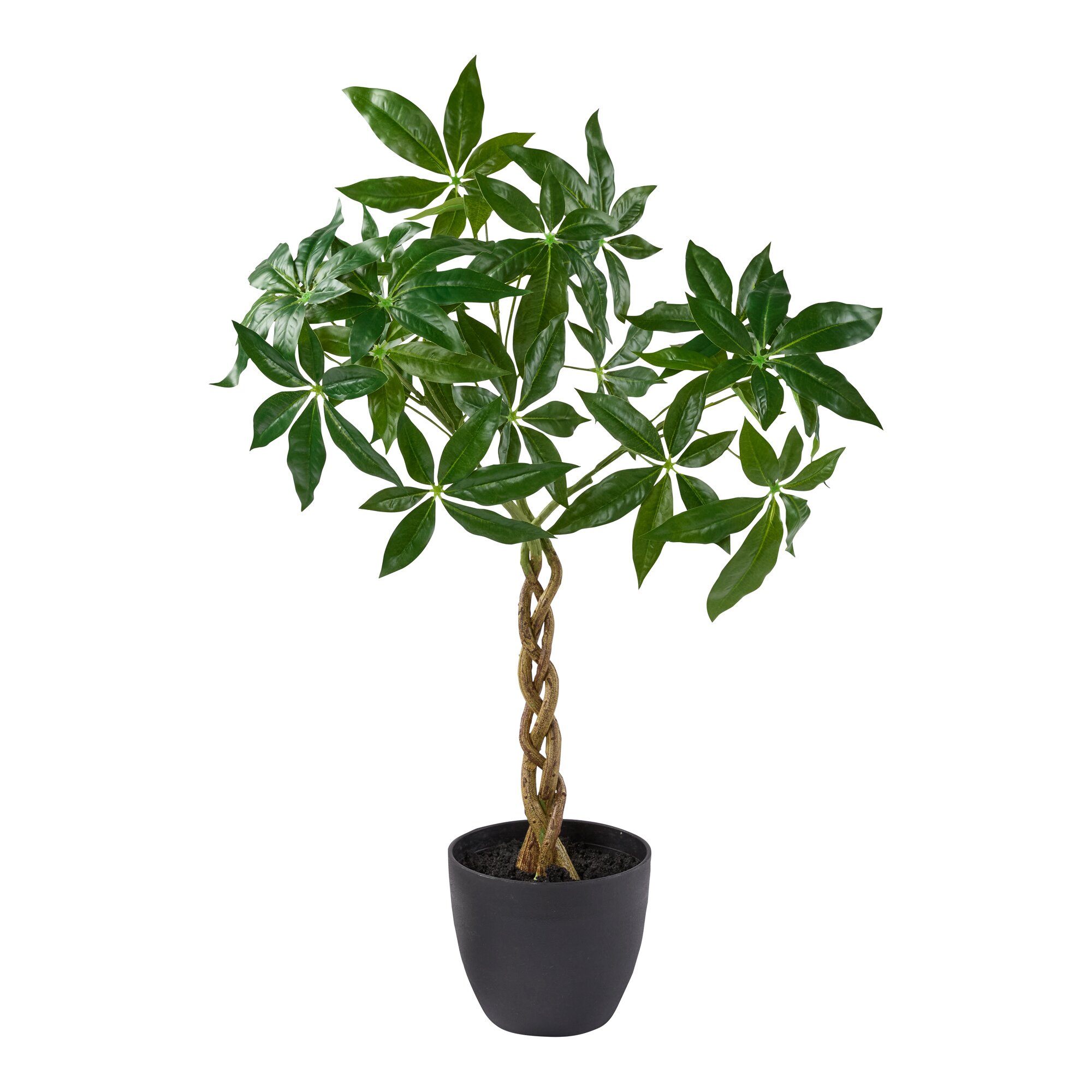 Kunstpflanze mit Flechtstamm