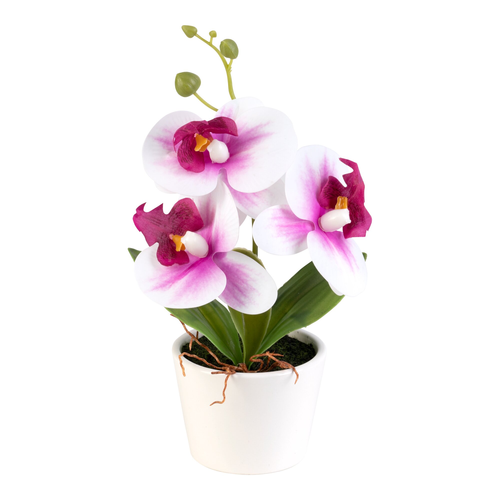 Kunstpflanze „Orchidee“