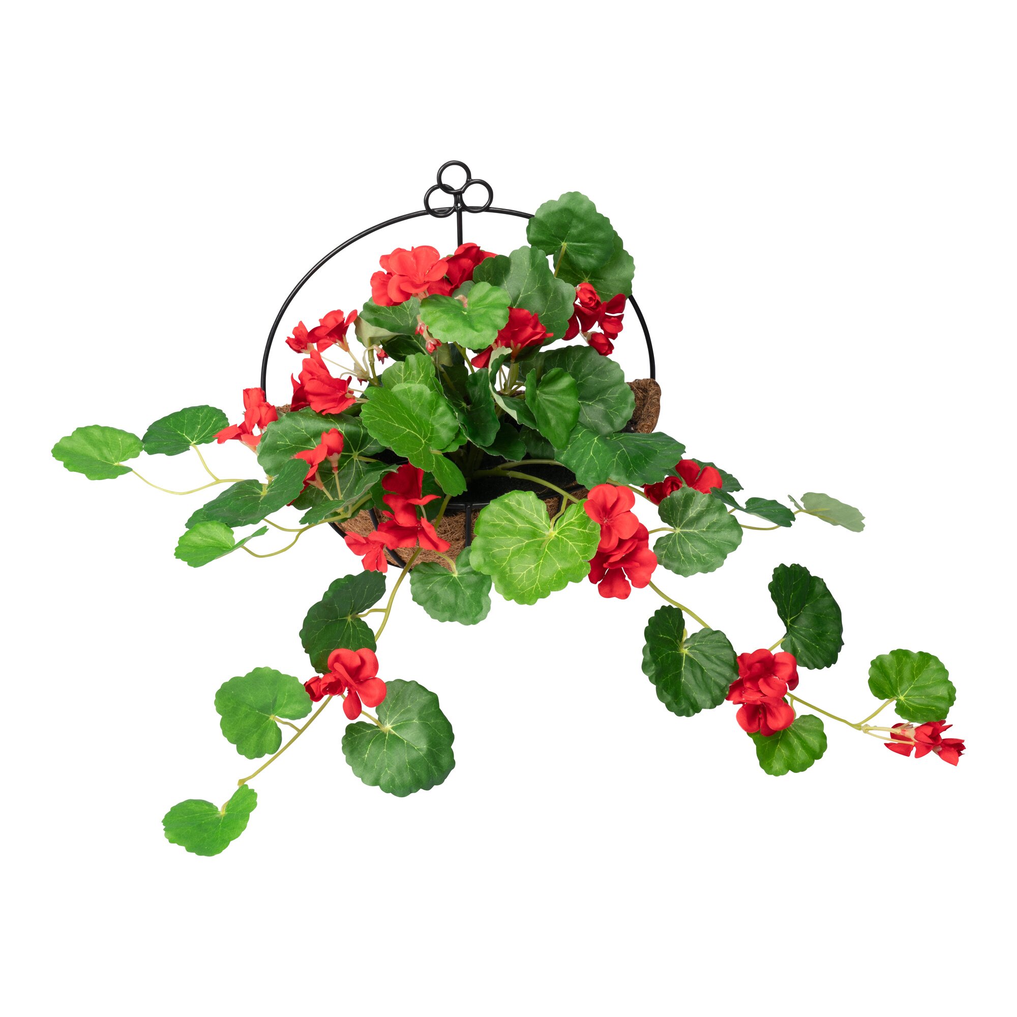 Hängegeranie im Metallgestell, rot