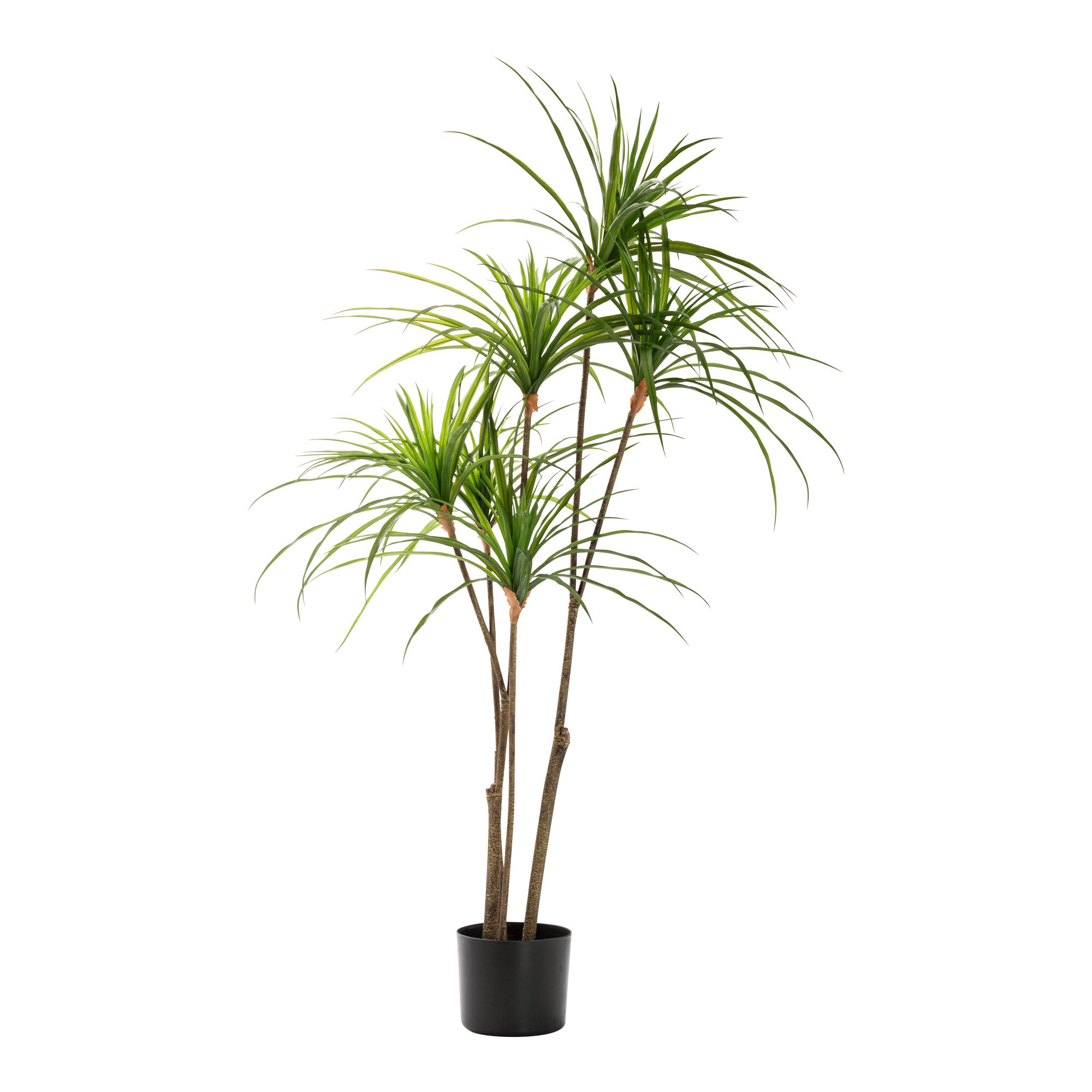Kunstpflanze "Dracaena"