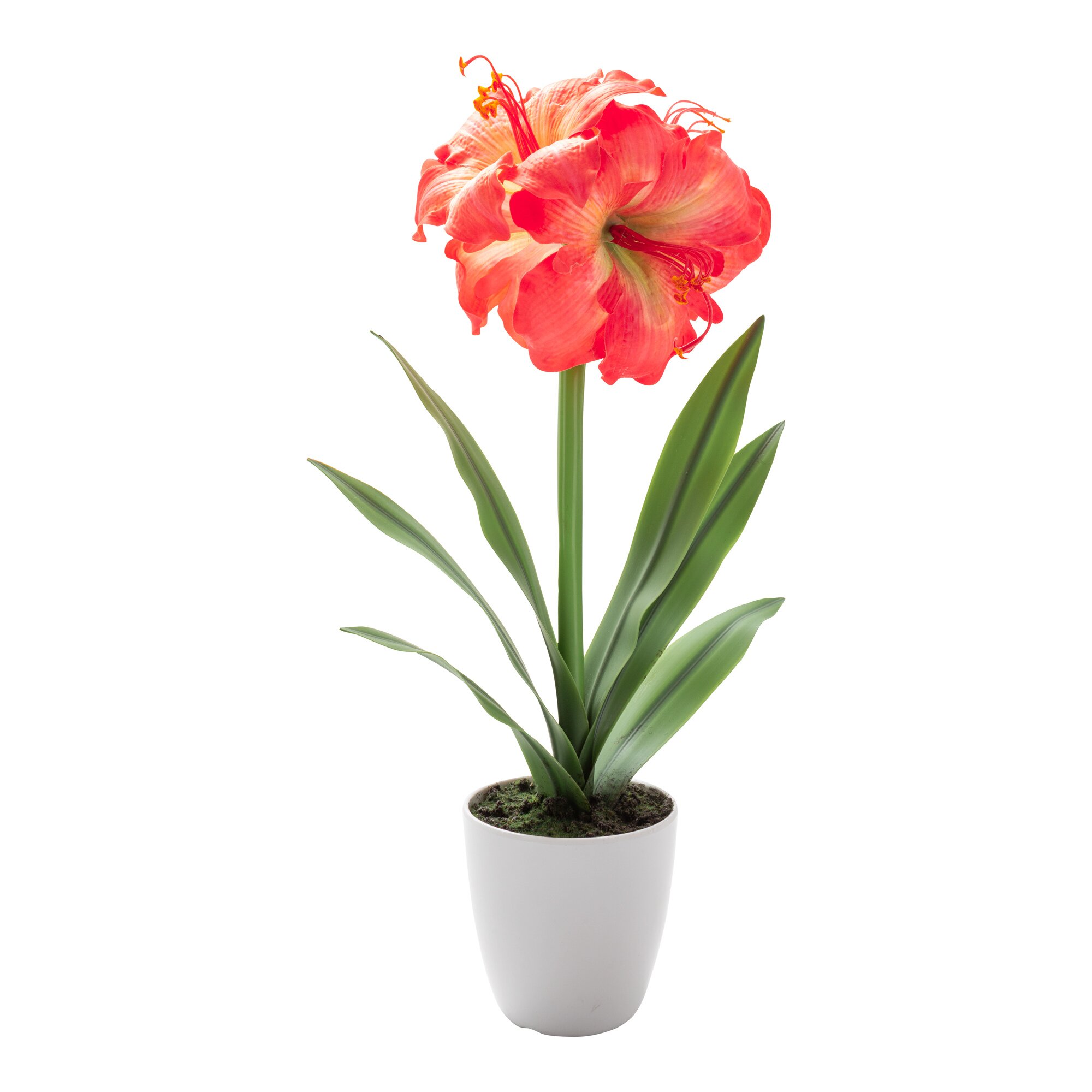 Kunstpflanze "Klivie"