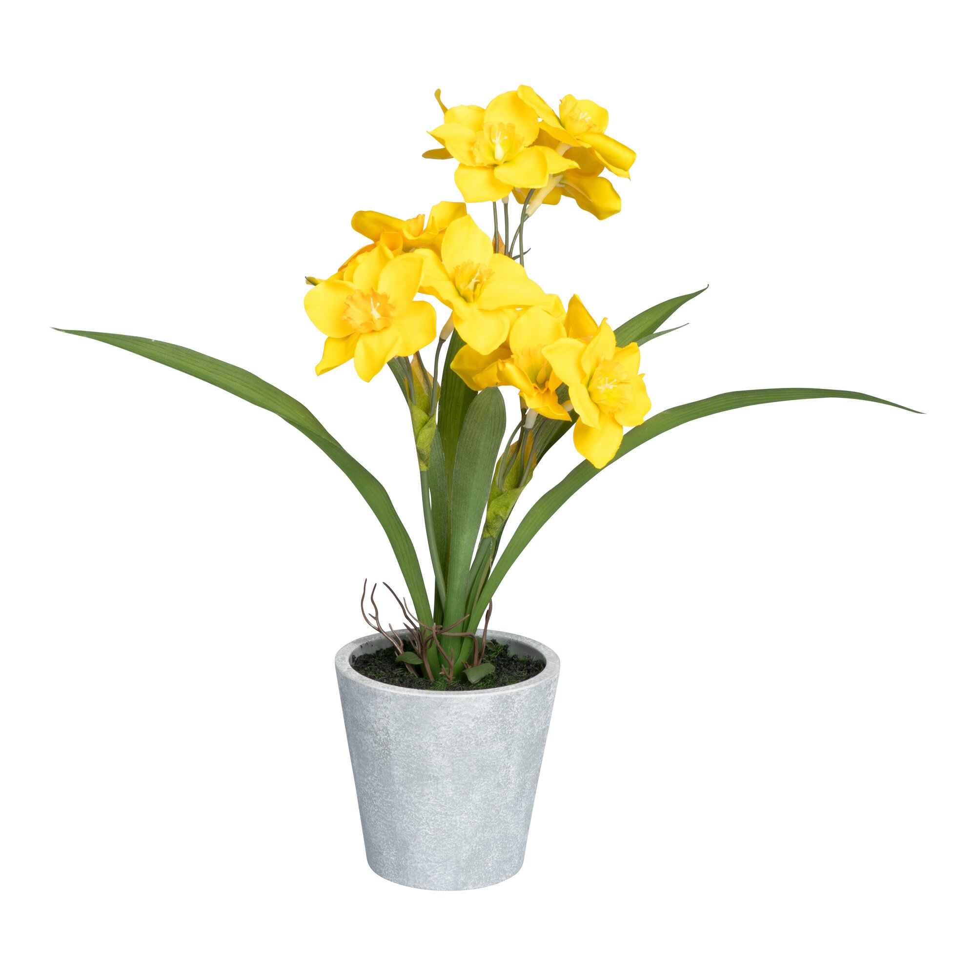 Osterglocken im Topf