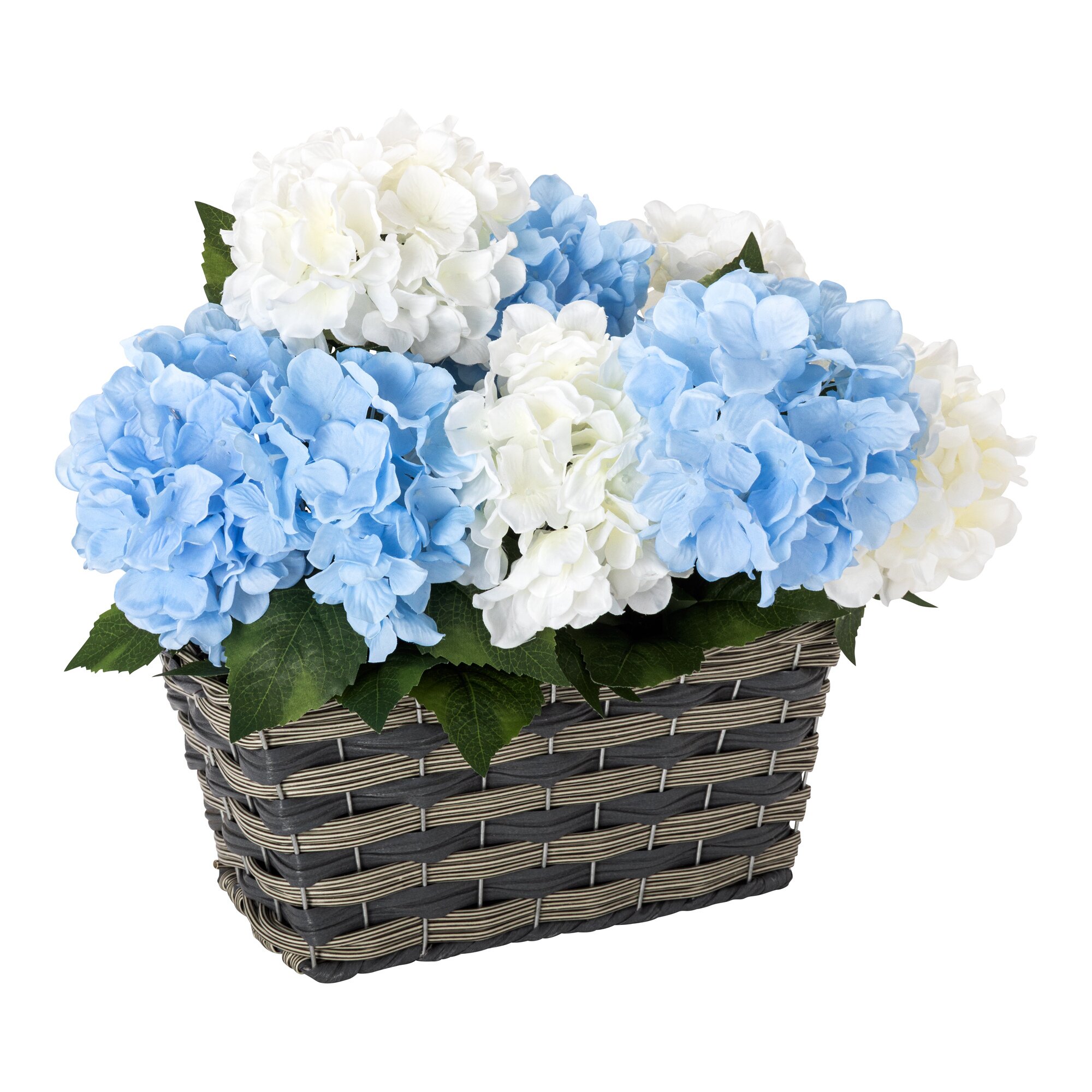 Hortensien im Kasten