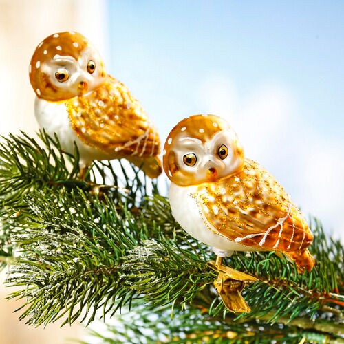 Christbaumschmuck "GlasEulen", 2 Stück online kaufen Die moderne