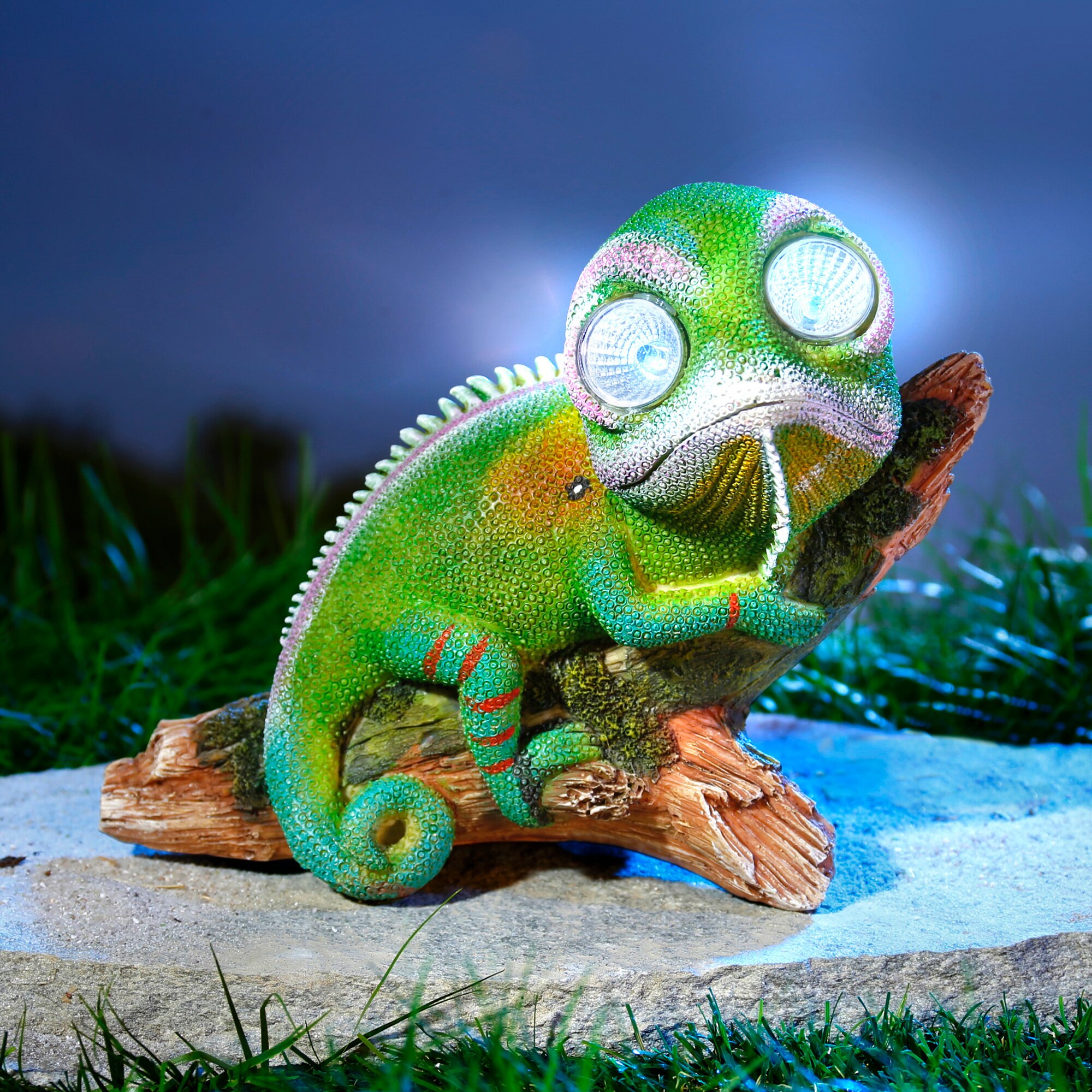 Solargecko Friedrich