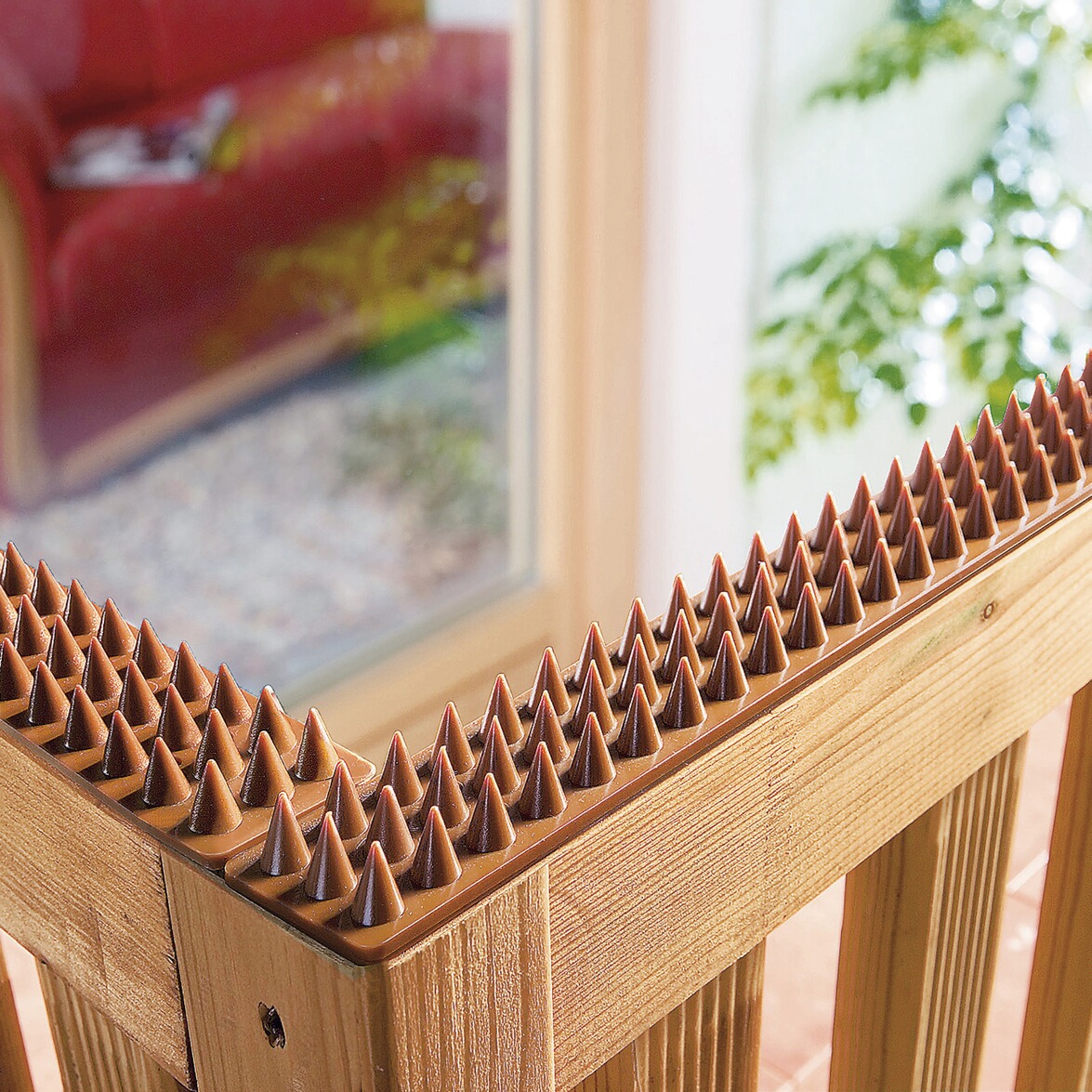 Dornengitter online kaufen Die moderne Hausfrau