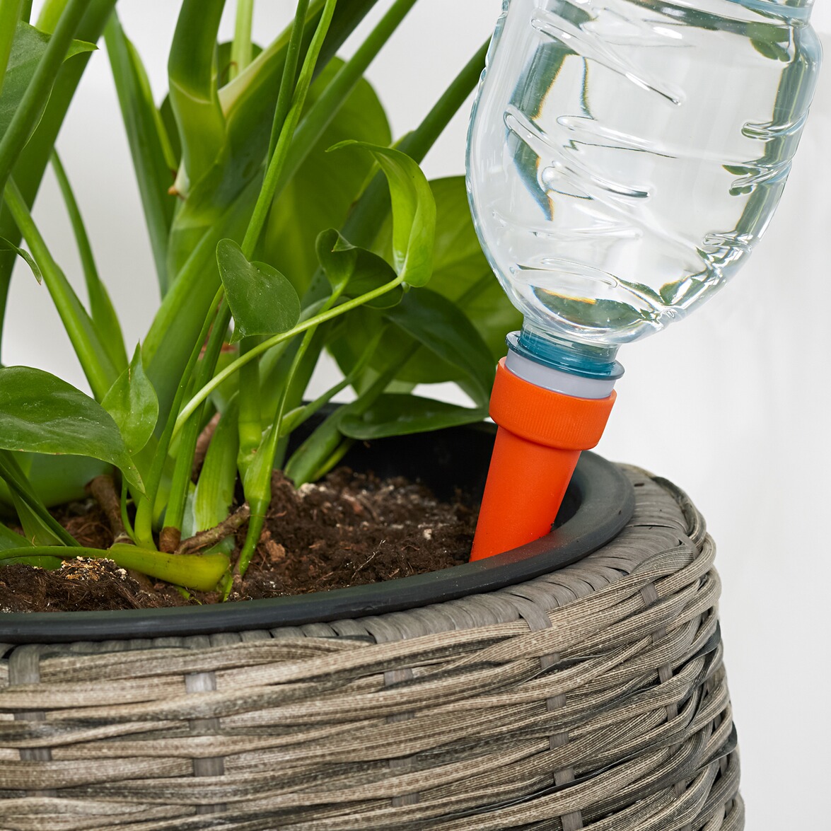 pflanzen bewässerungssystem balkon