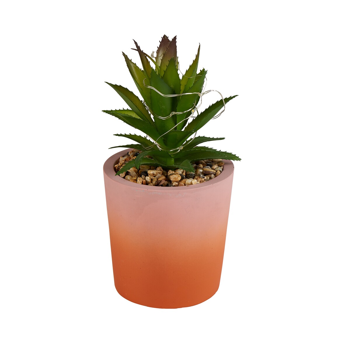 Led-cactus online kopen | Huis & Comfort