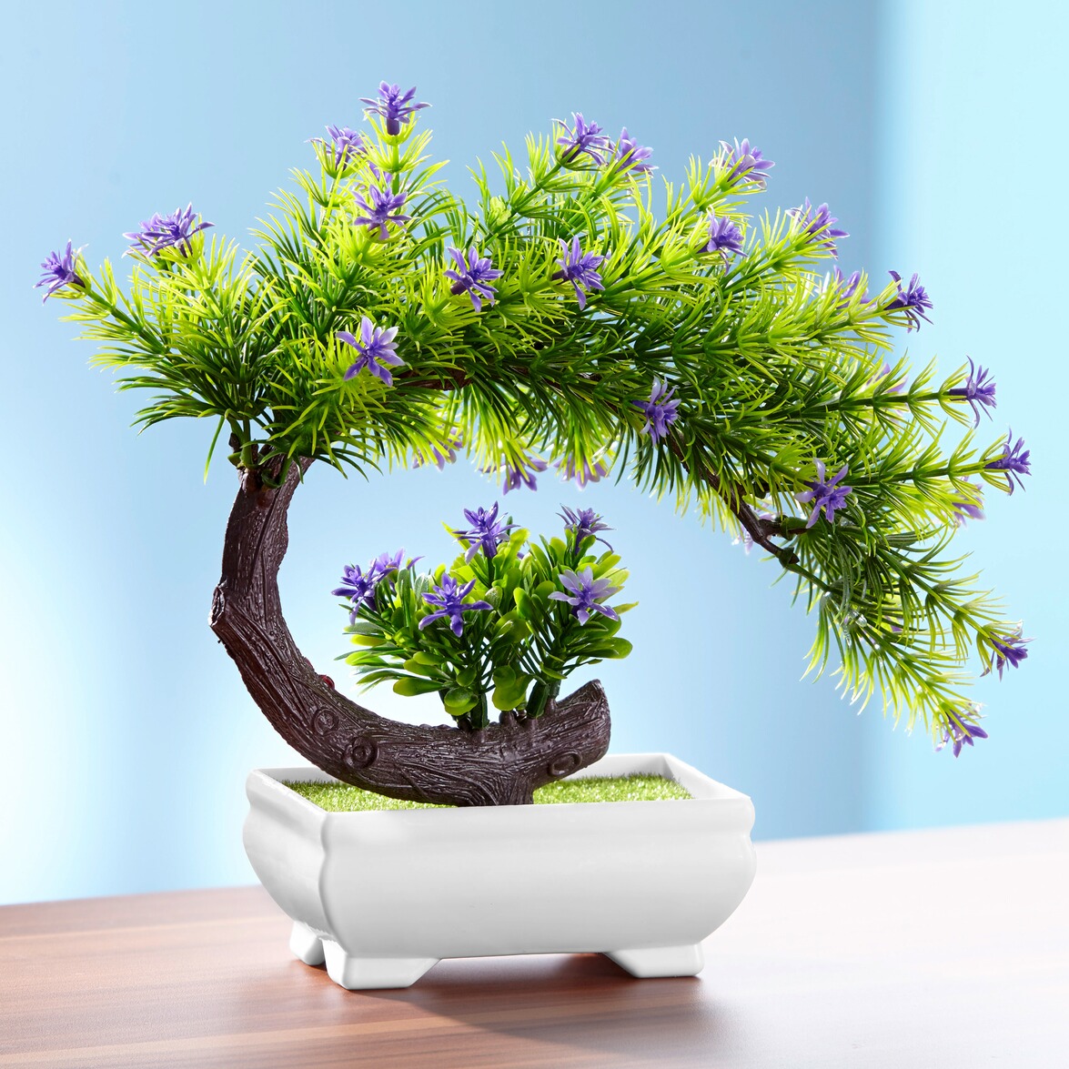 Blühender Bonsai online kaufen Die moderne Hausfrau