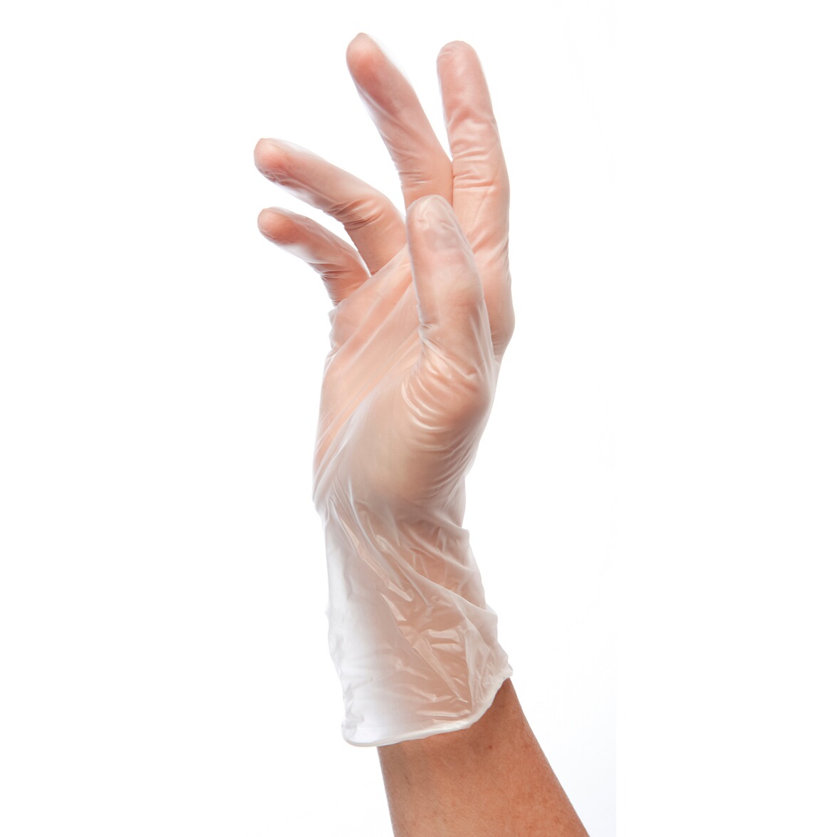 koch einmalhandschuhe