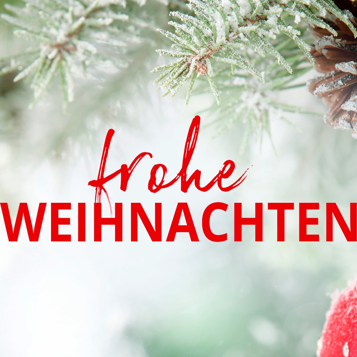 Geschenkgutschein Weihnachten "Die moderne Hausfrau" online kaufen