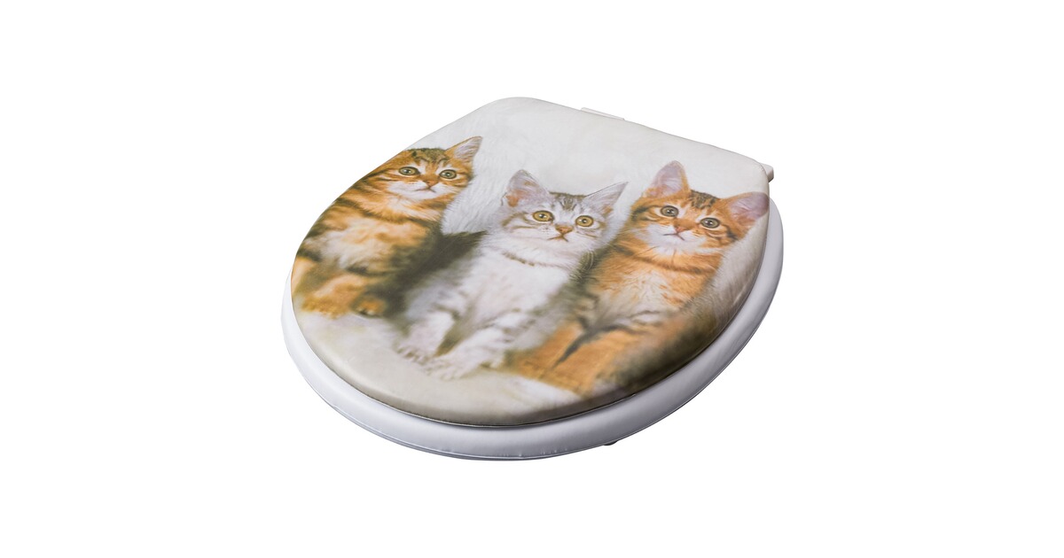 schüssel katzenmotiv