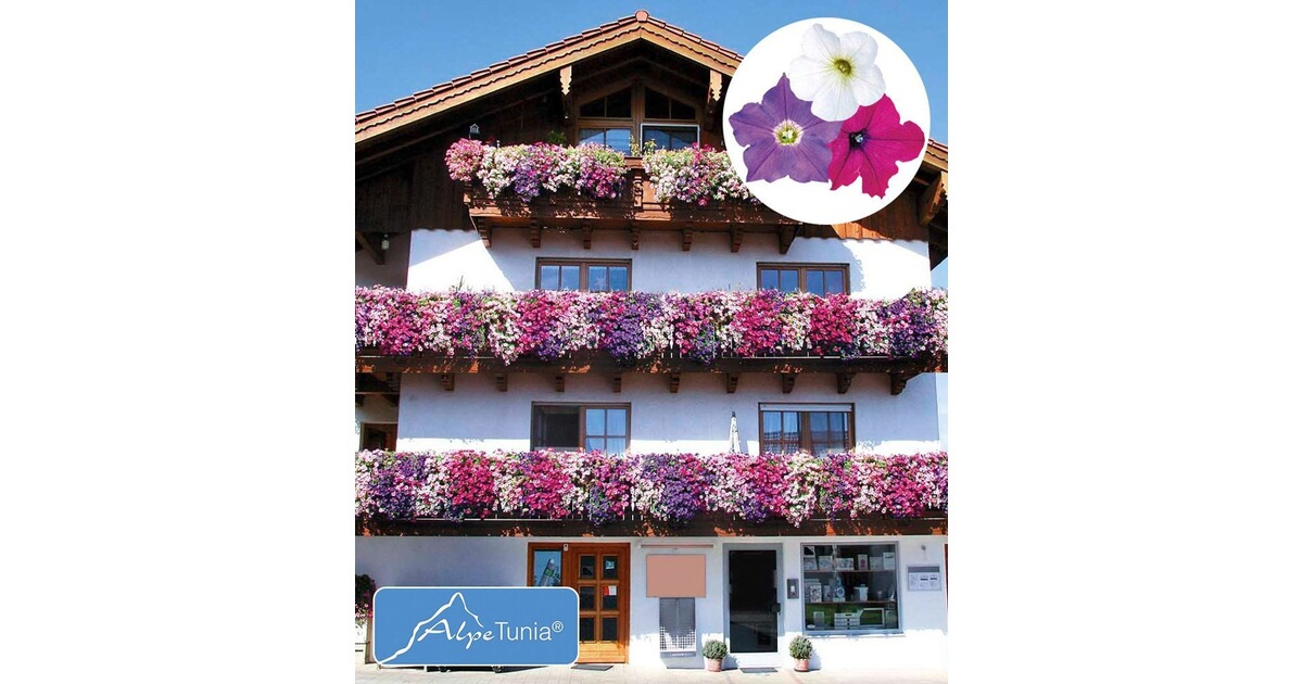 BALDUR-Garten Hänge-Petunien "AlpeTunia®" Kollektion 9 ...